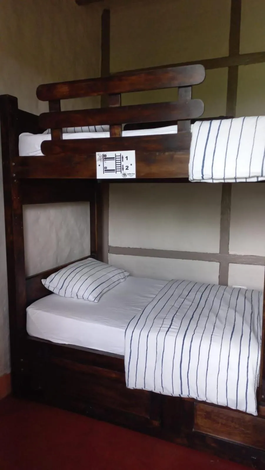 bunk bed, Bed in Coffee Tree Boutique Hostel