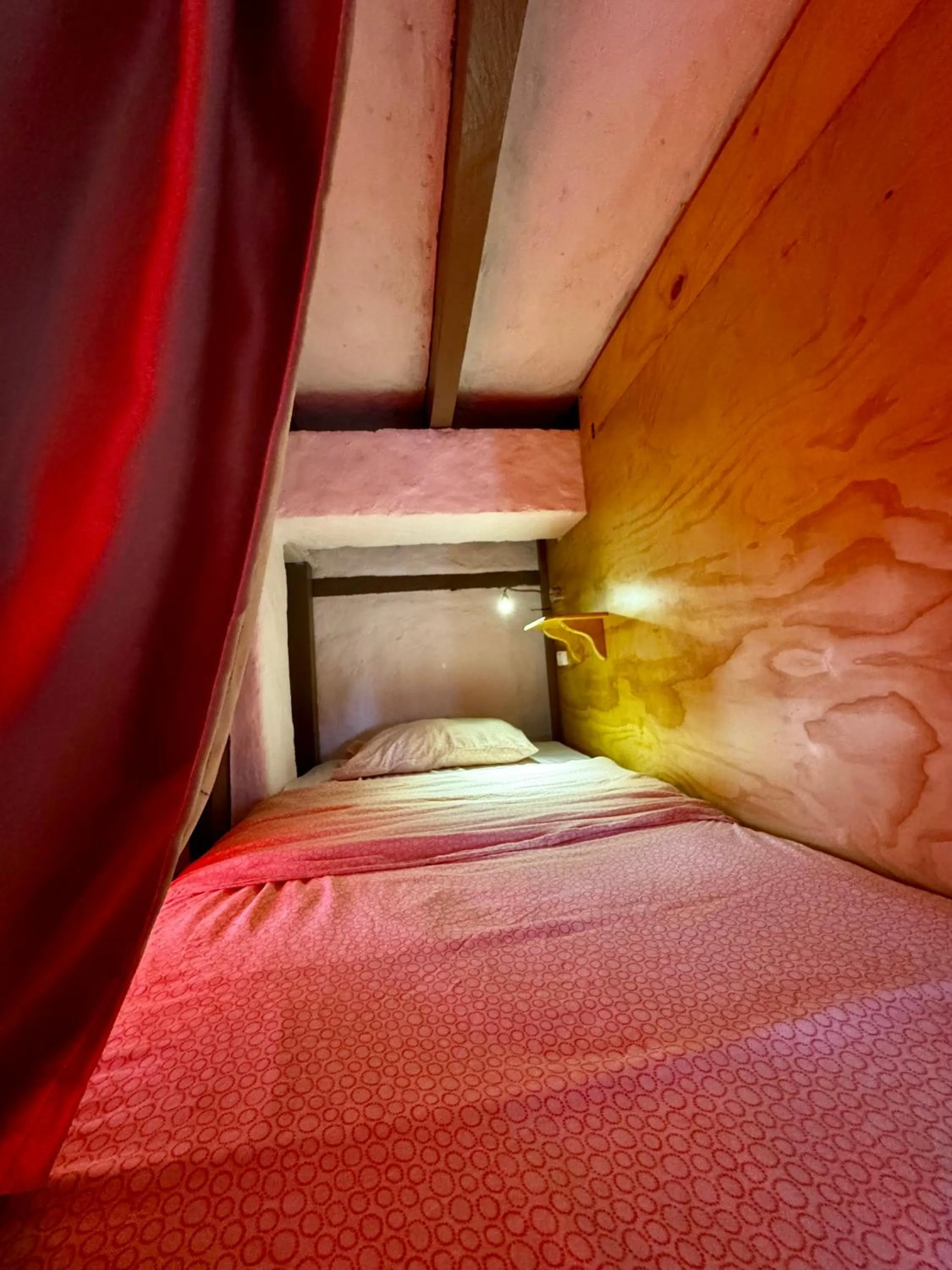 Bed in Coffee Tree Boutique Hostel