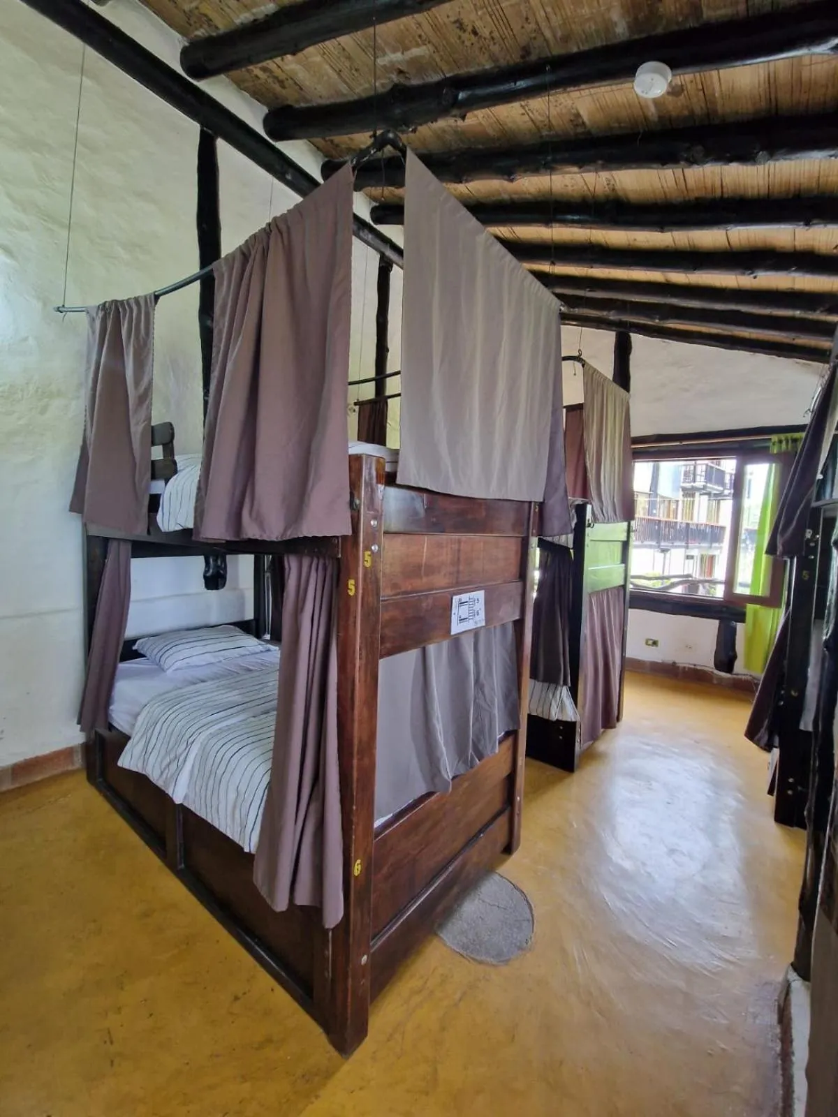Photo of the whole room, Bed in Coffee Tree Boutique Hostel