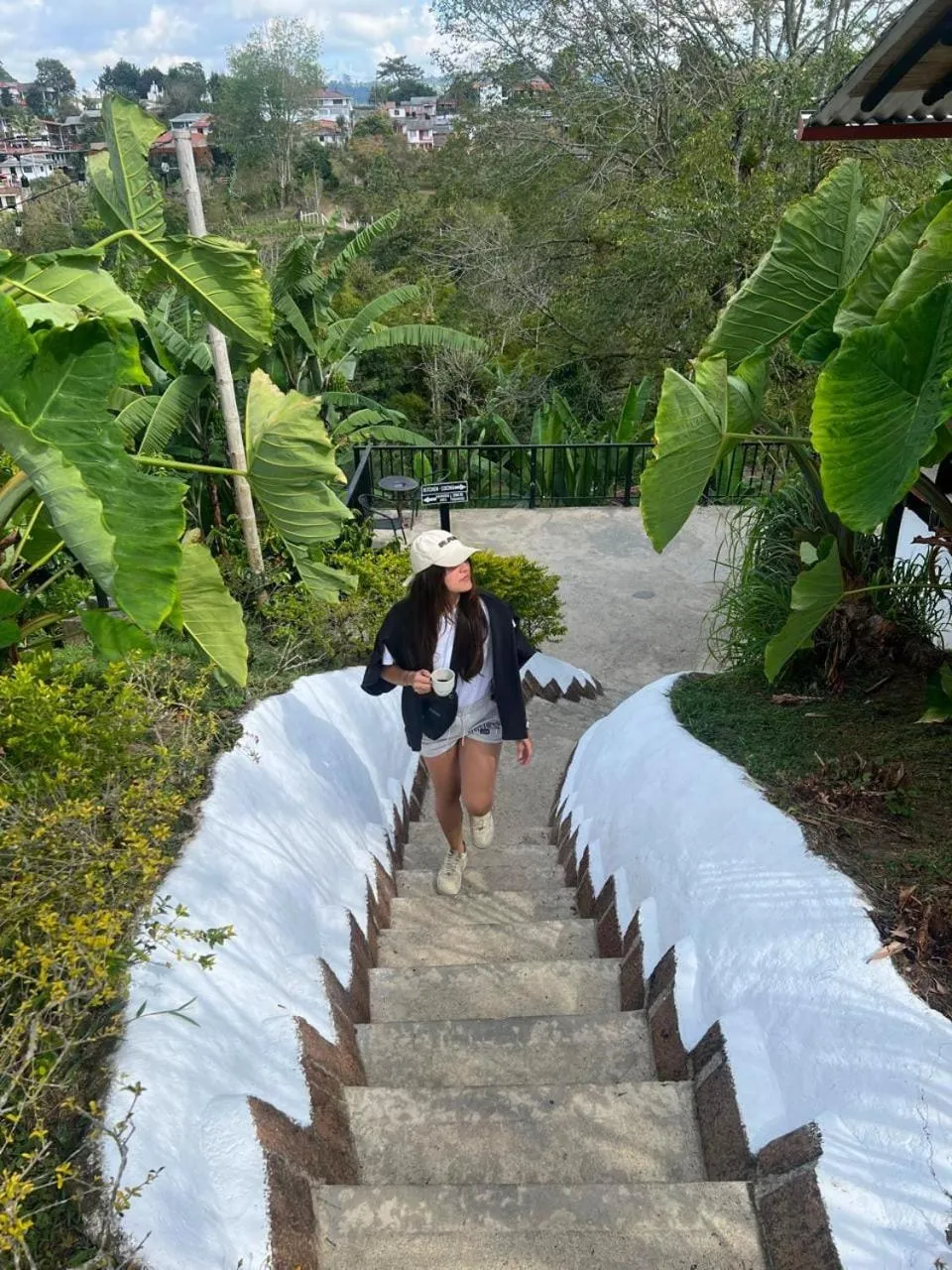 Natural landscape in Coffee Tree Boutique Hostel