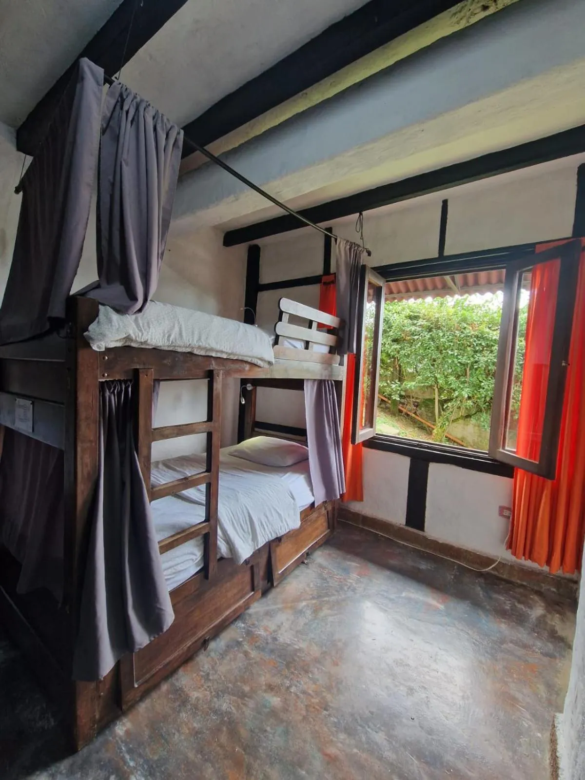 bunk bed, Bed in Coffee Tree Boutique Hostel