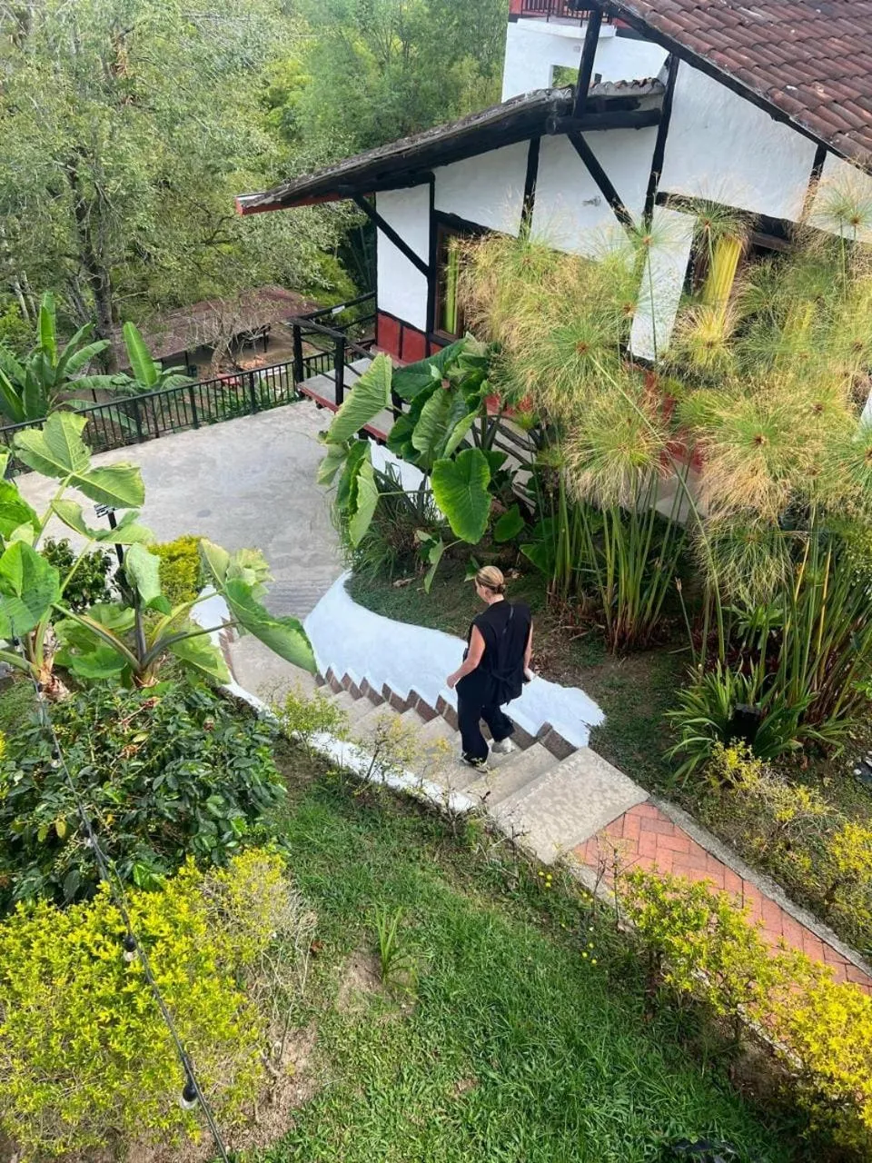 Natural landscape in Coffee Tree Boutique Hostel