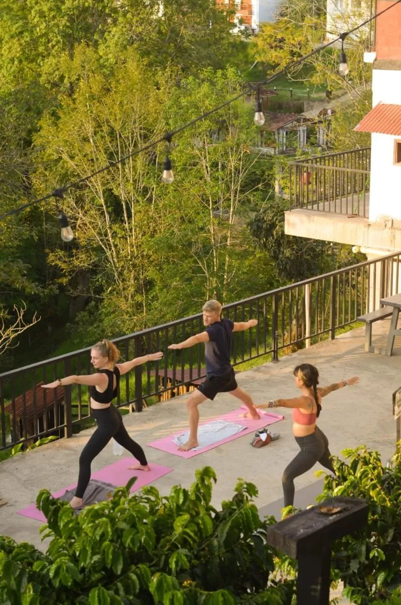 Natural landscape in Coffee Tree Boutique Hostel