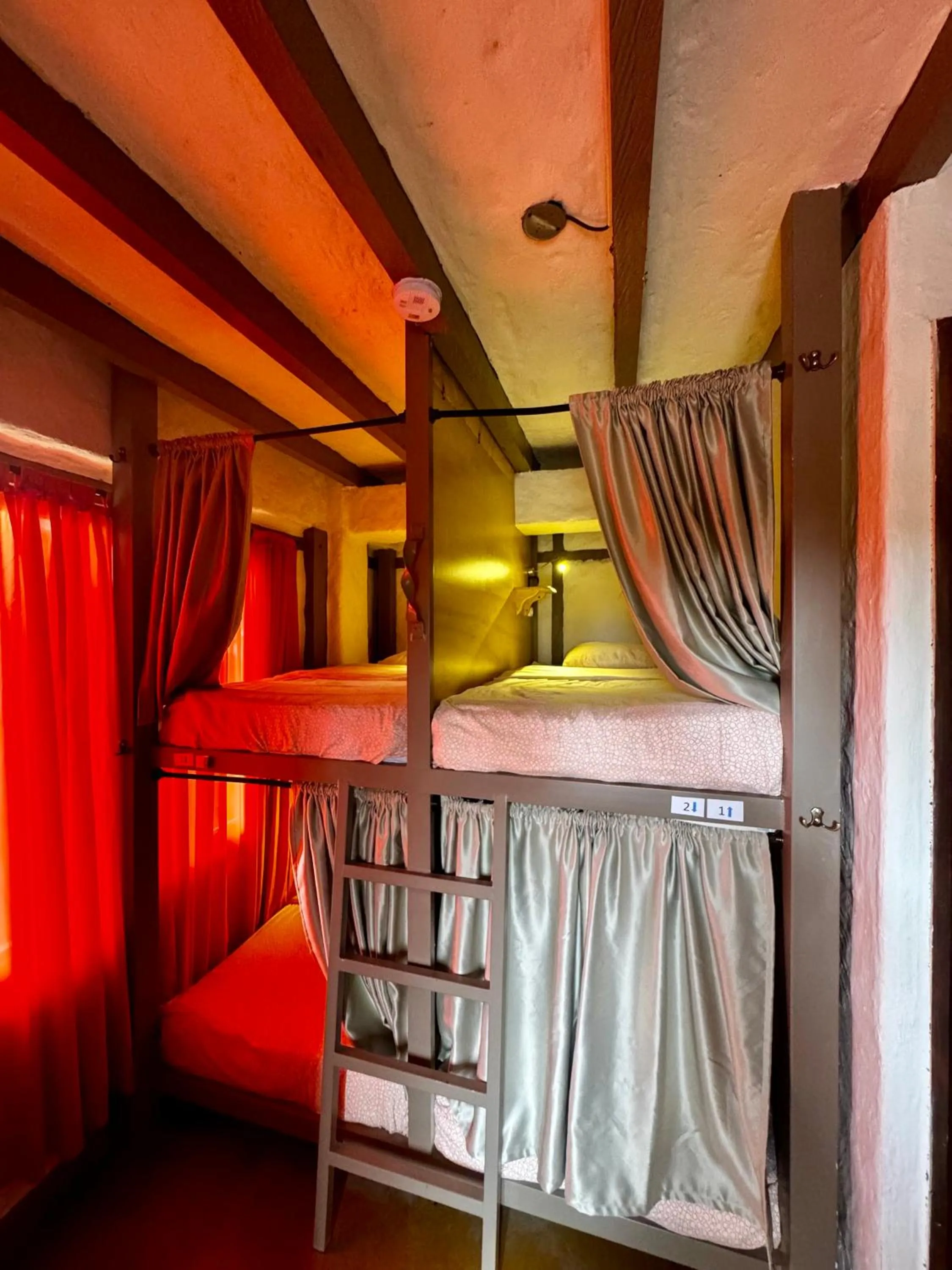 Bed in Coffee Tree Boutique Hostel