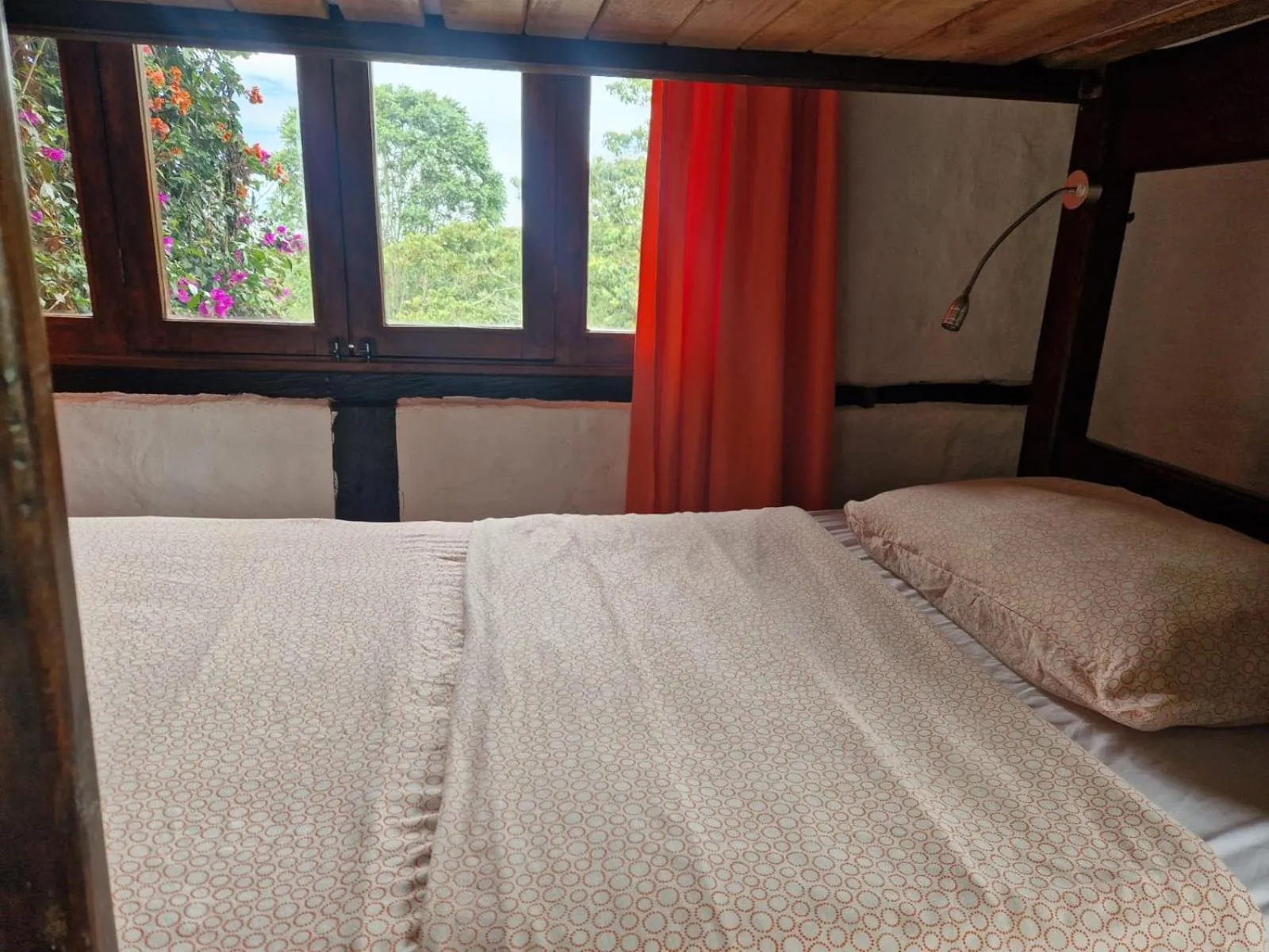 Natural landscape, Bed in Coffee Tree Boutique Hostel