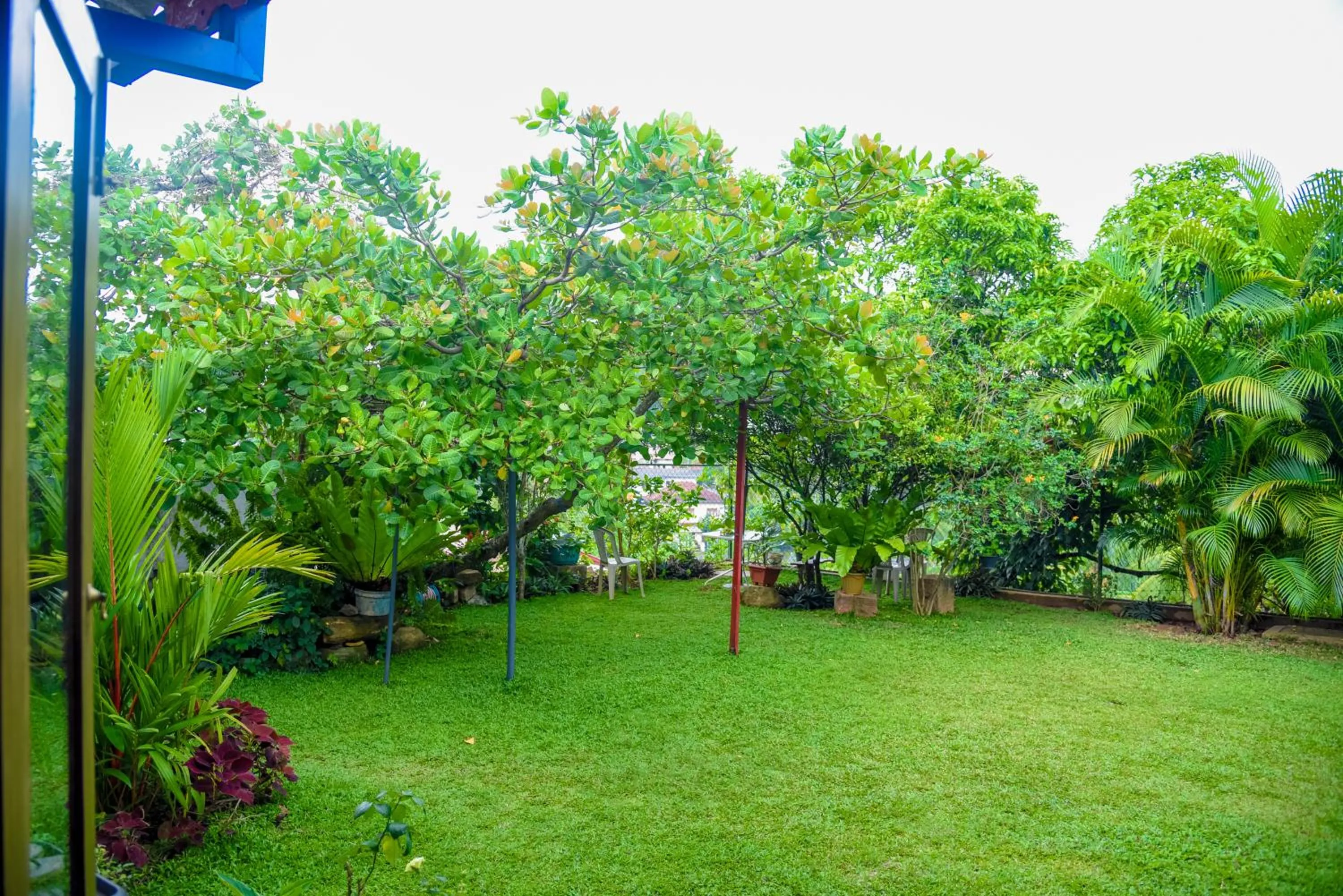 Day in Kandy Moon Hills Hotel