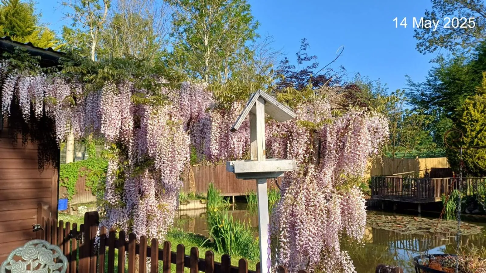 View (from property/room) in Woodies