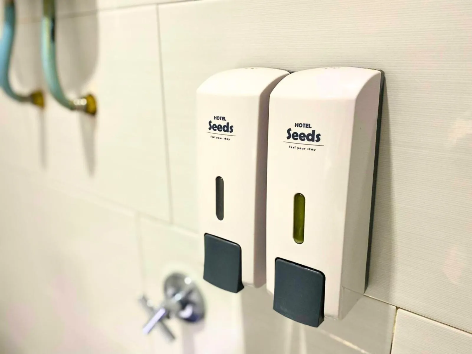 Area and facilities in Seeds Hotel PV12