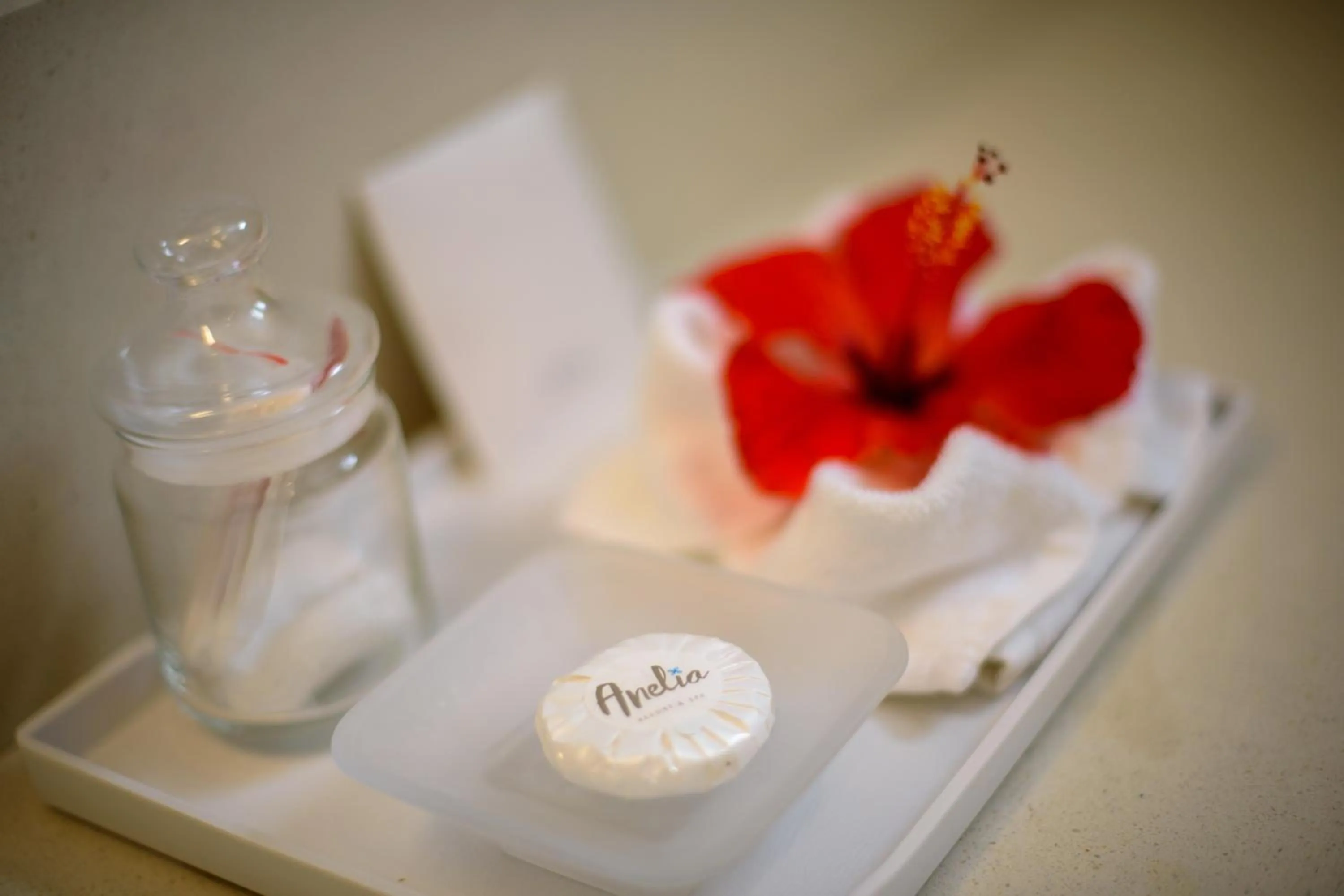 Property logo or sign in Anelia Resort & Spa