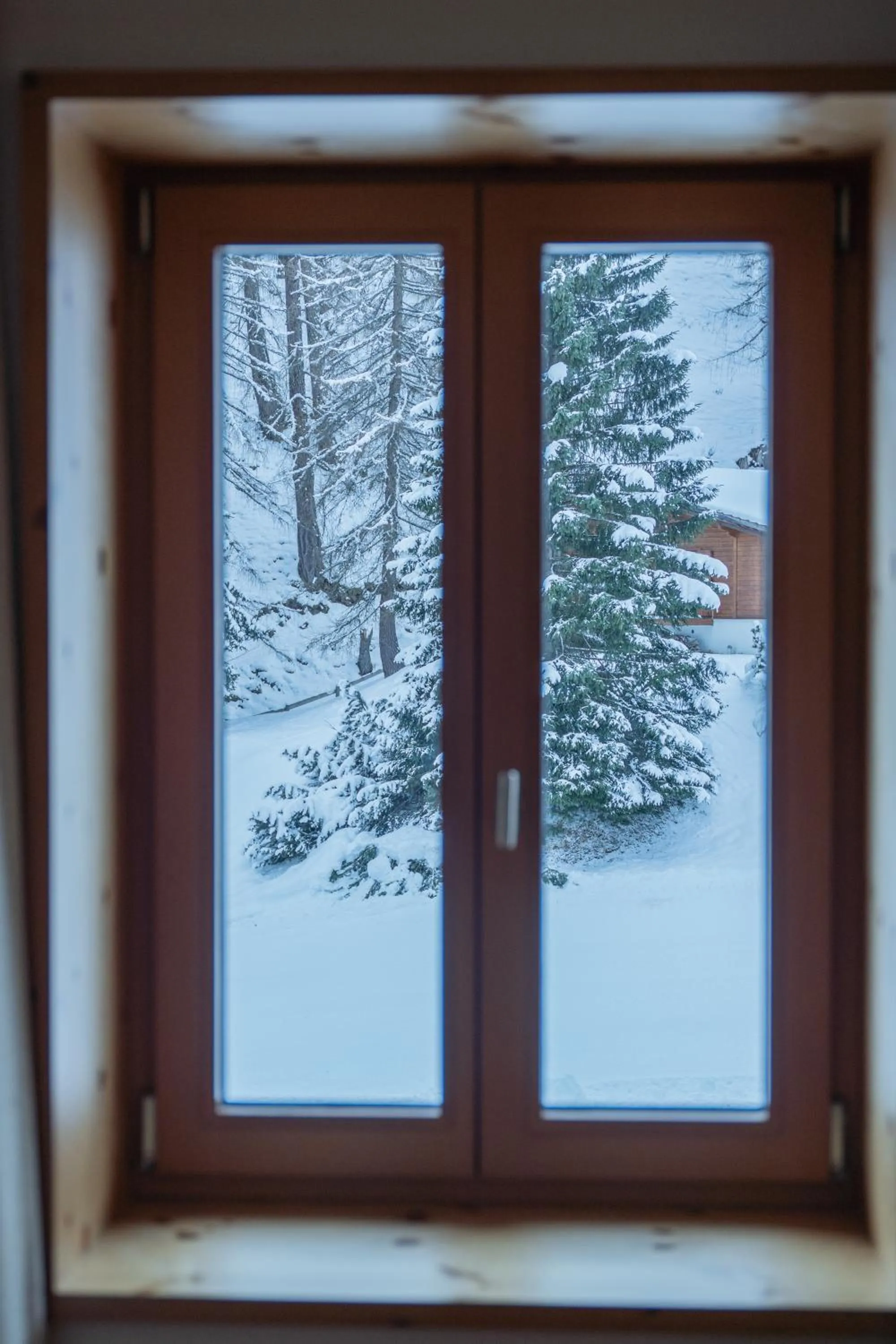 Photo of the whole room in The Alpina Mountain Resort