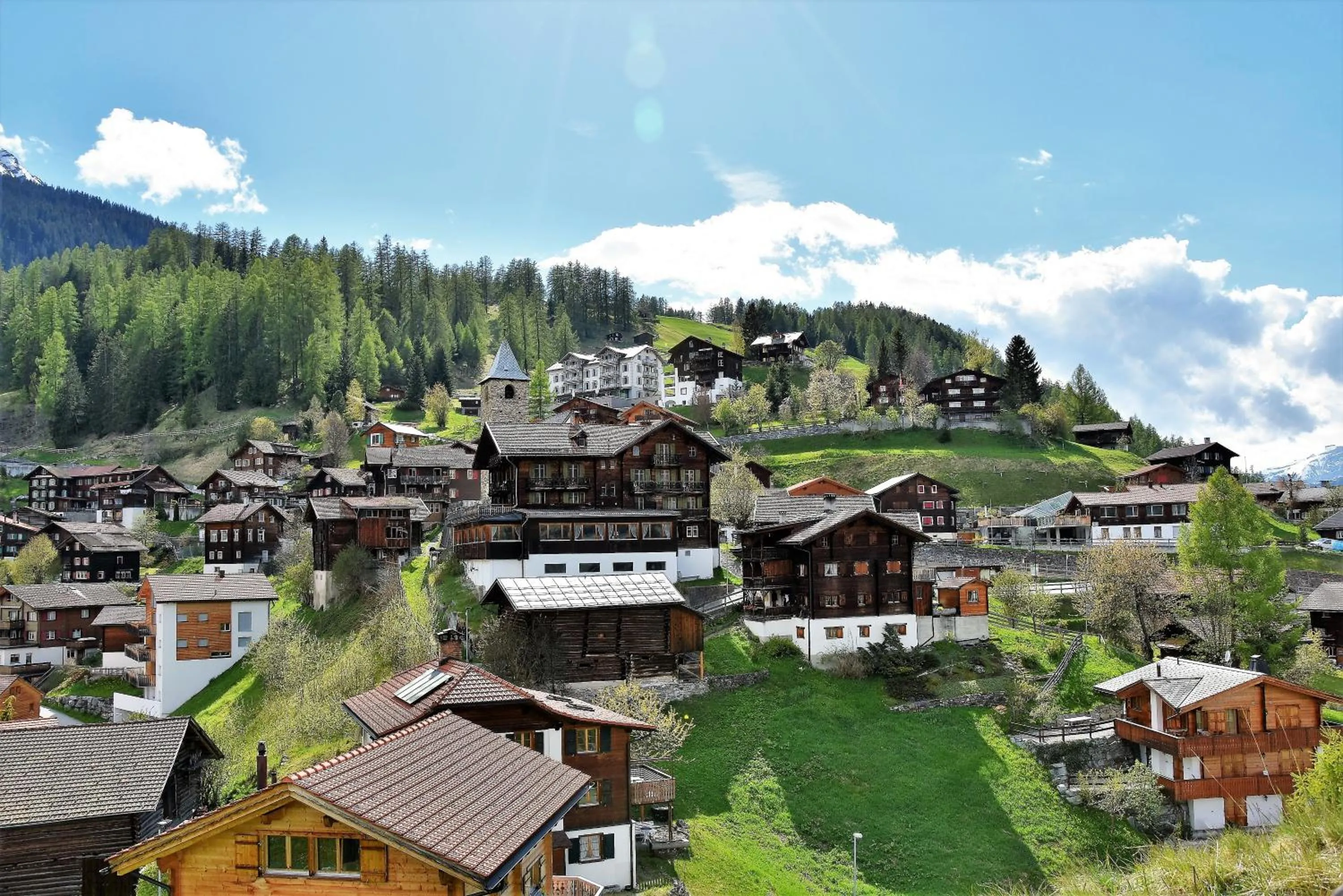 Neighbourhood in The Alpina Mountain Resort