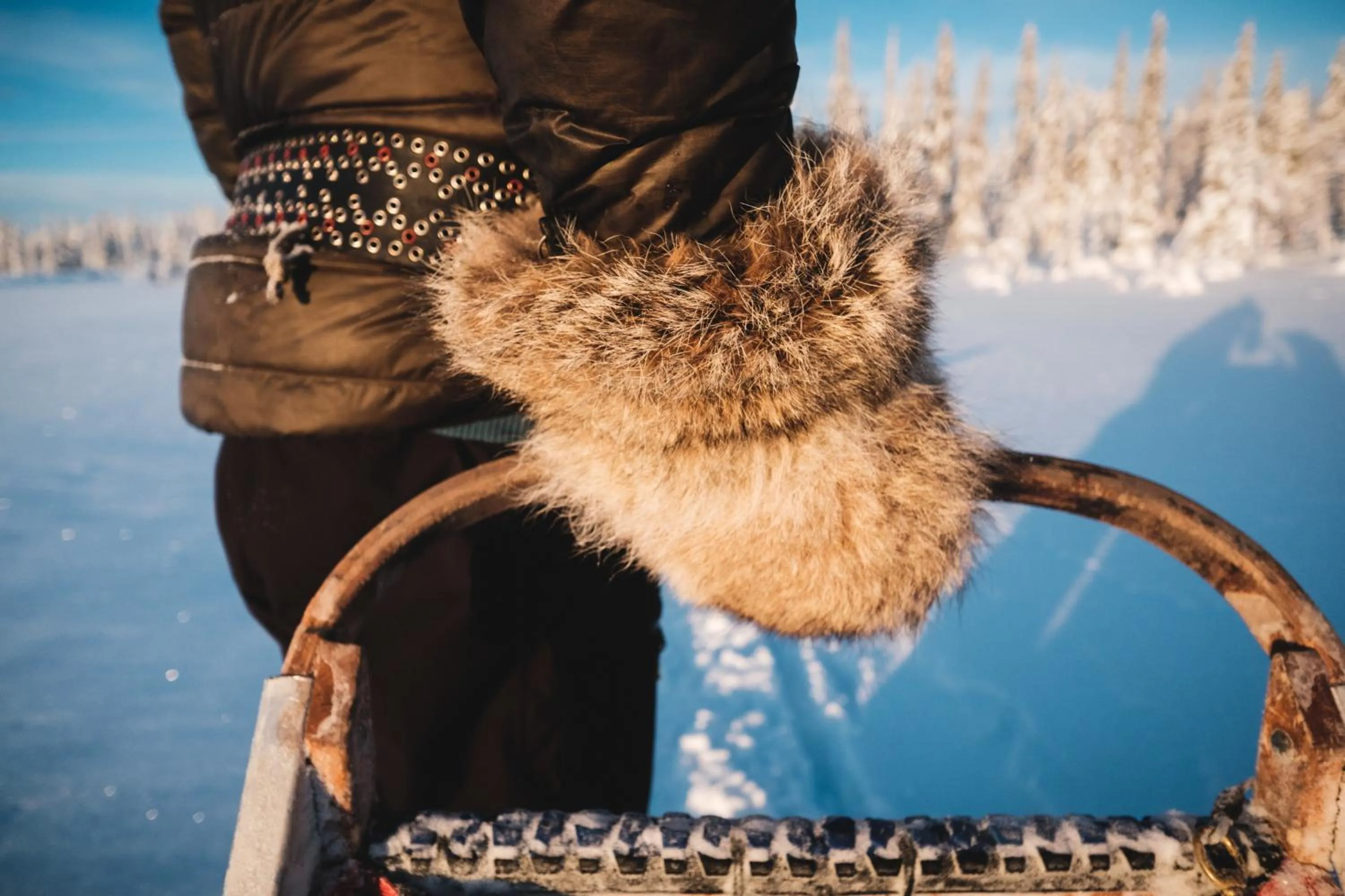 Winter in Pinetree Lodge