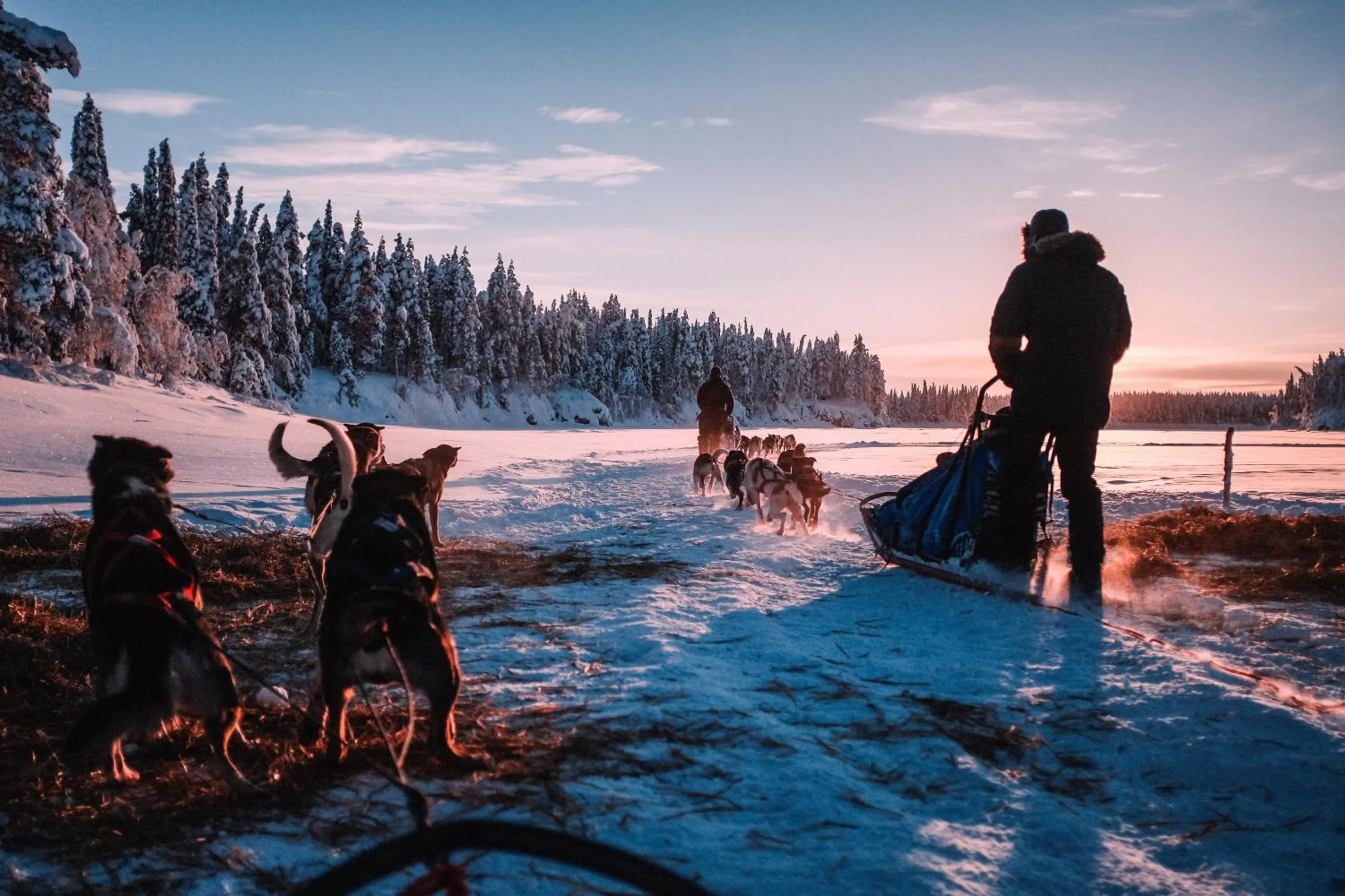 Winter in Pinetree Lodge