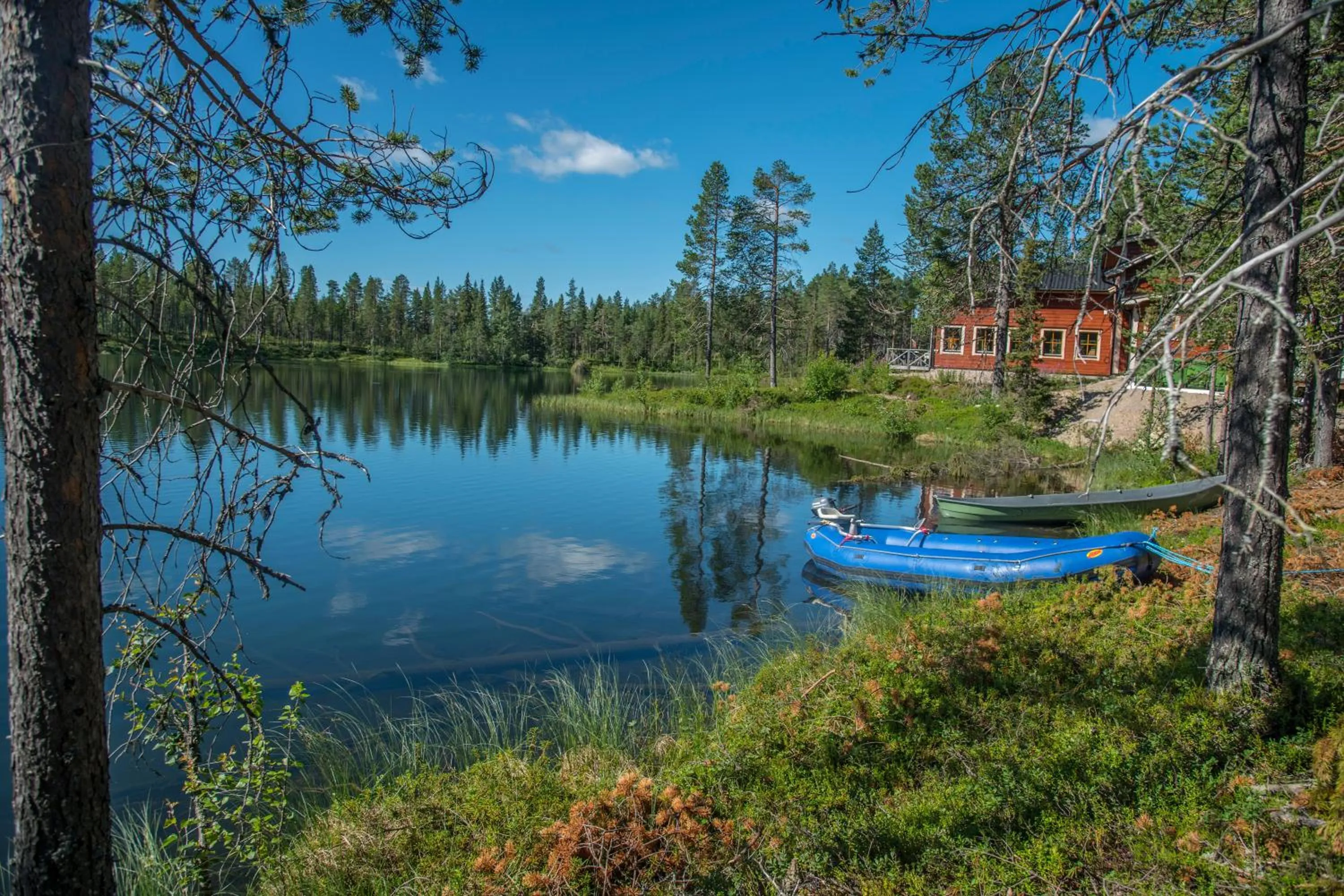 Natural landscape in Pinetree Lodge