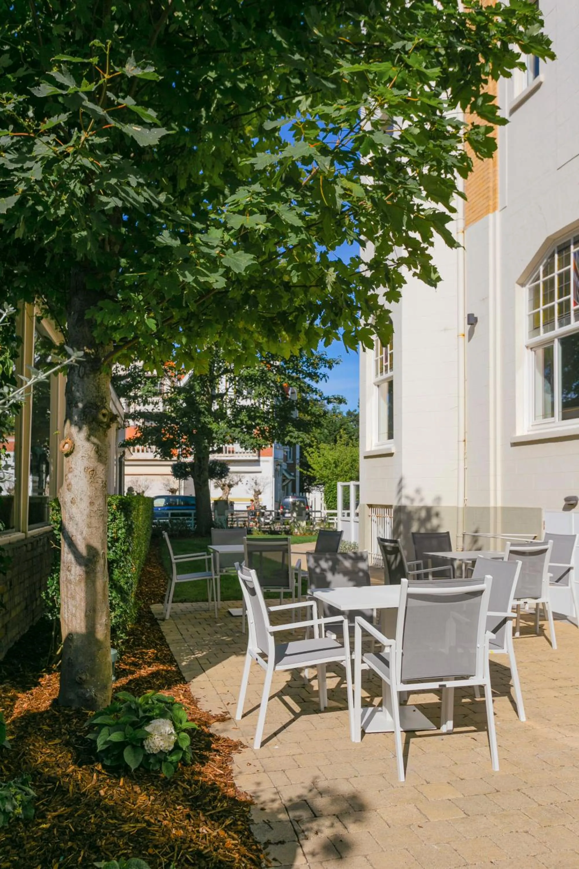 Garden in Hotel Astoria