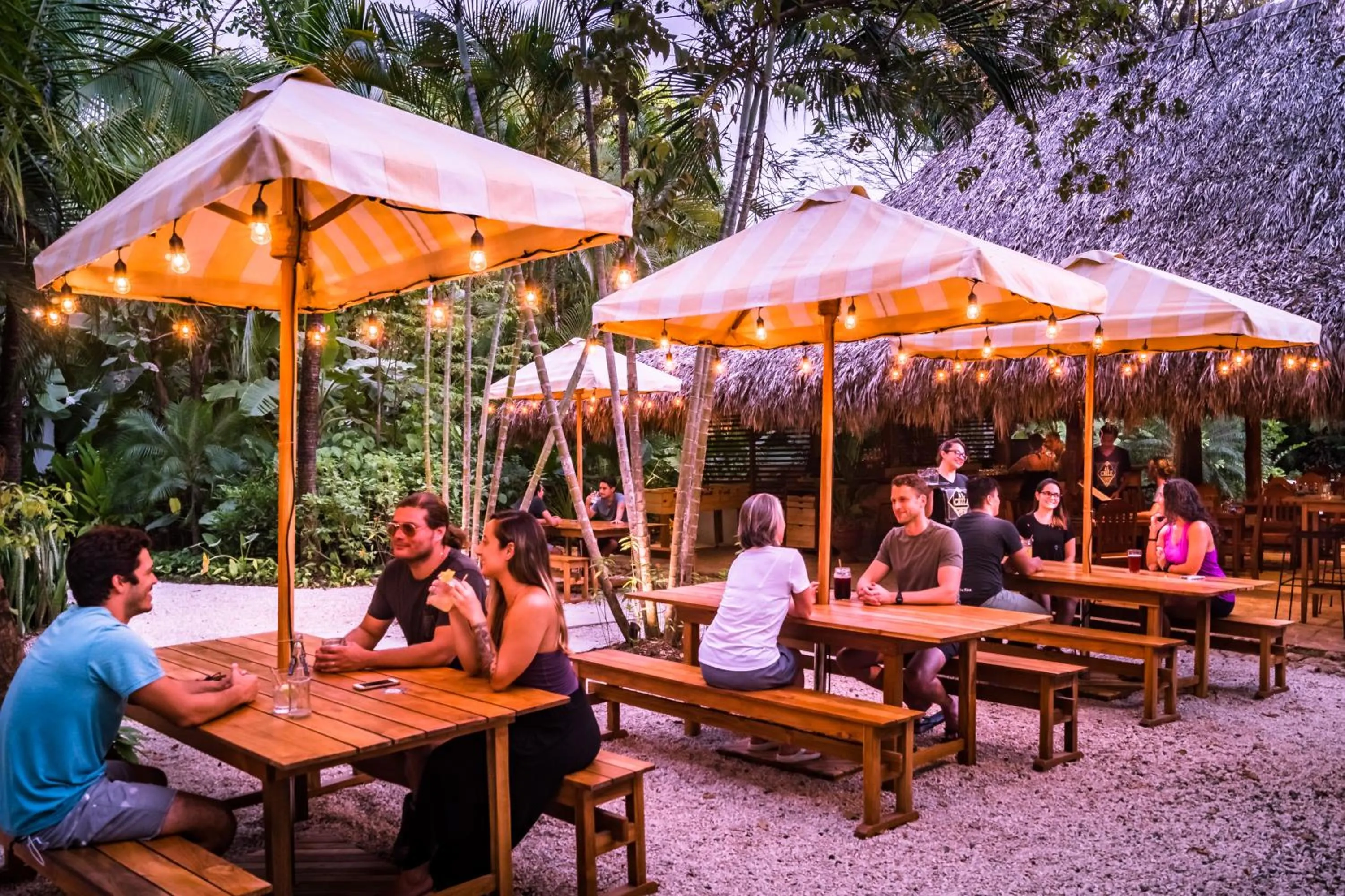 Restaurant/places to eat in The Sunset Shack