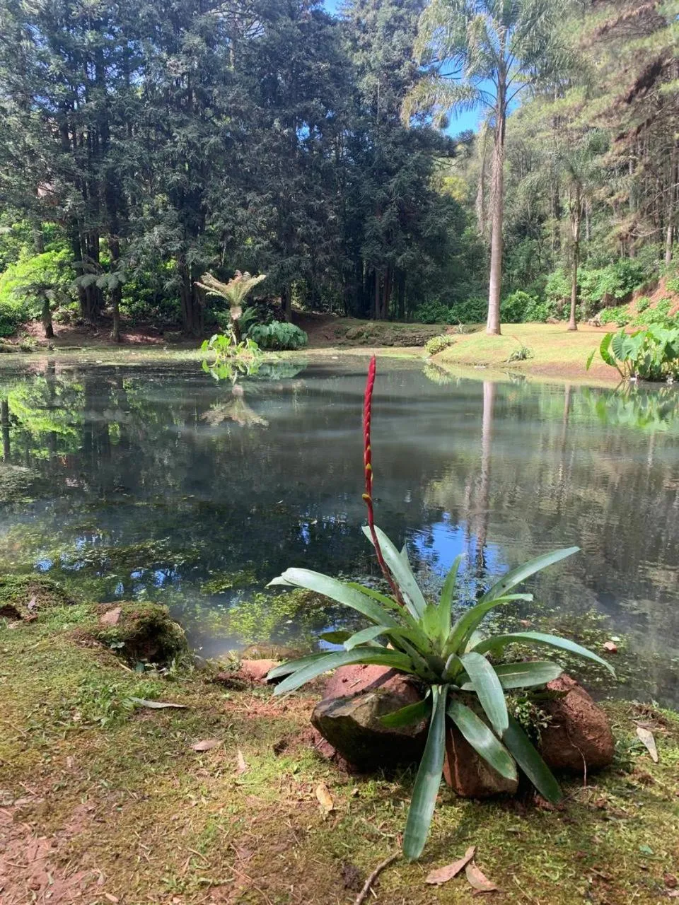 Natural landscape in Chalets do Vale