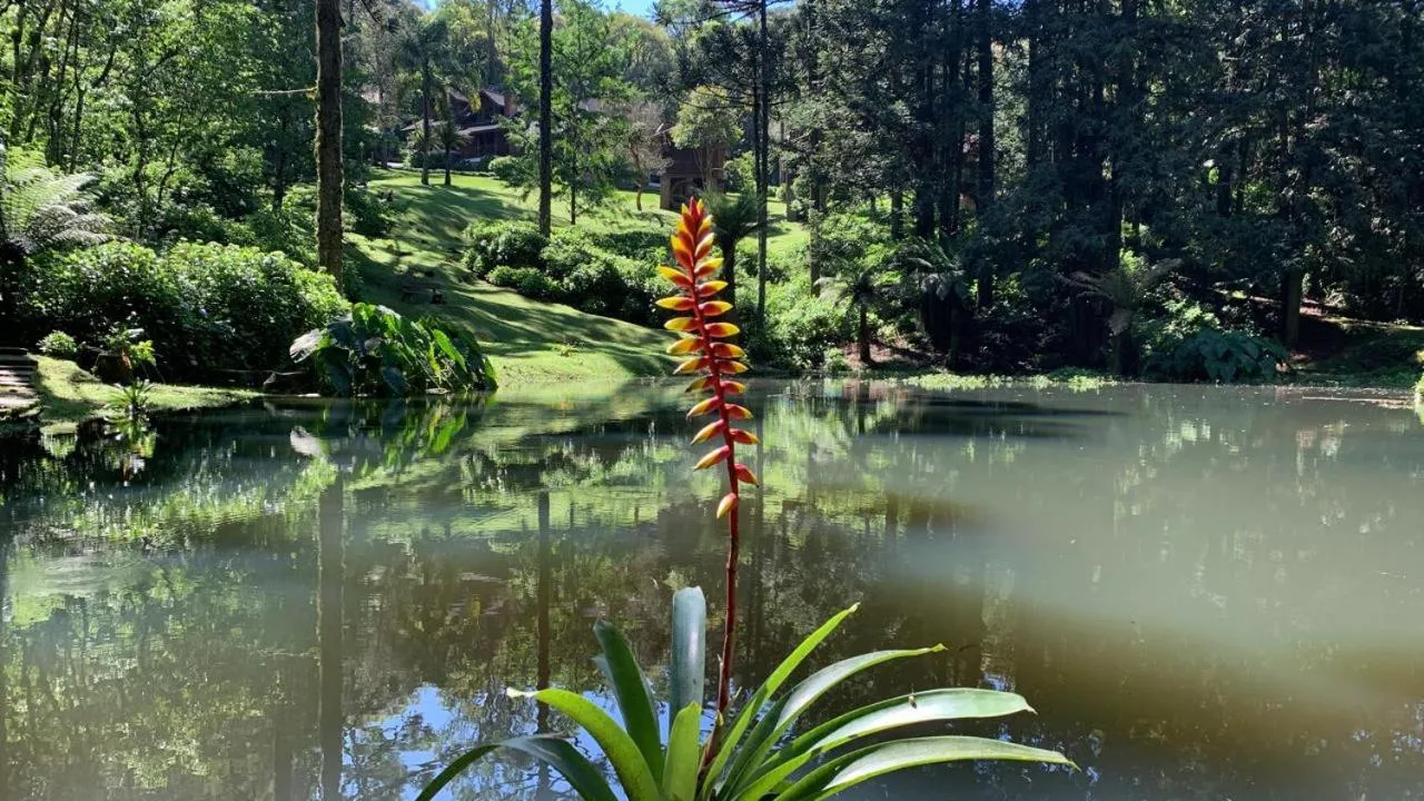 Natural landscape in Chalets do Vale