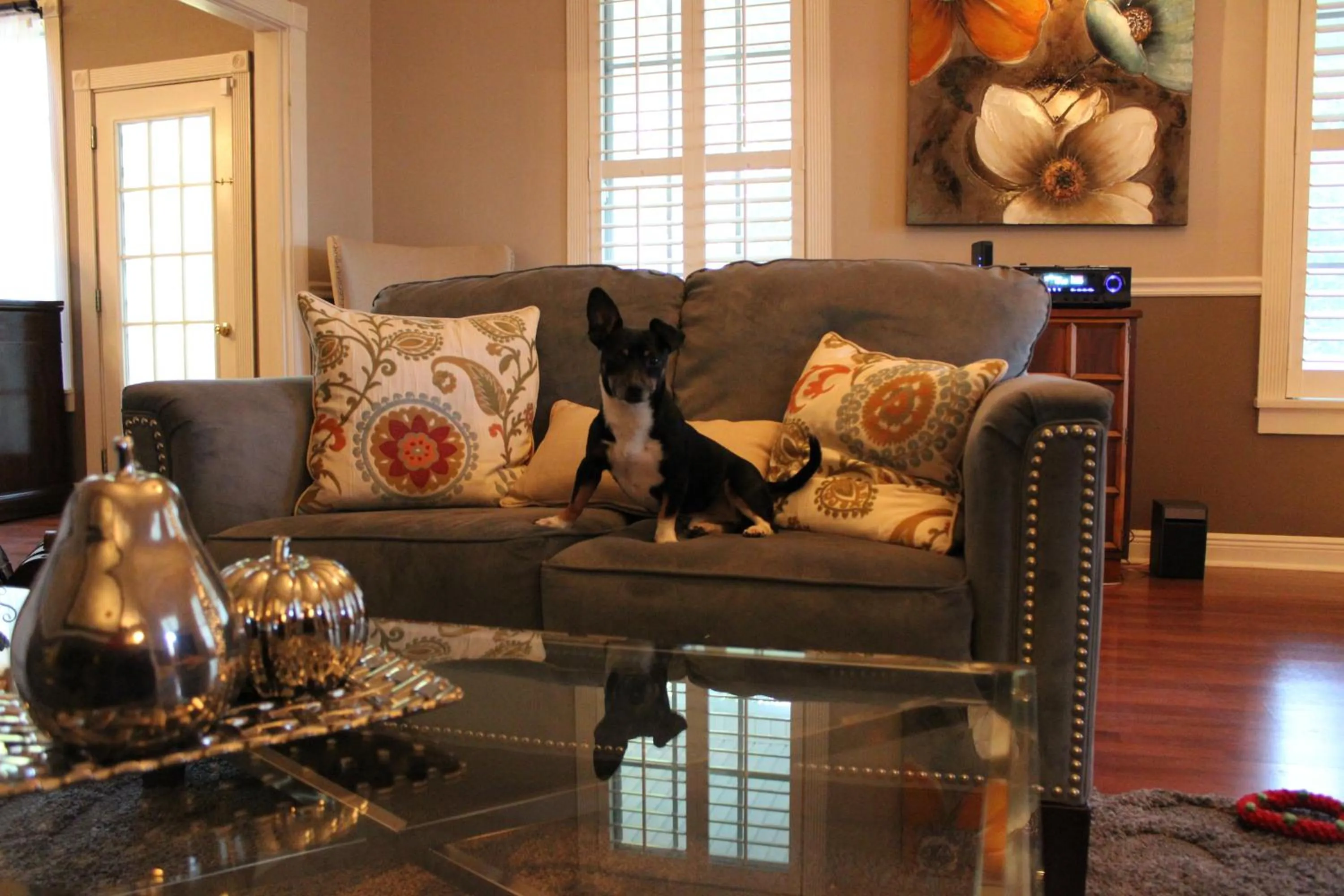 Pets in Huffman House Bed & Breakfast