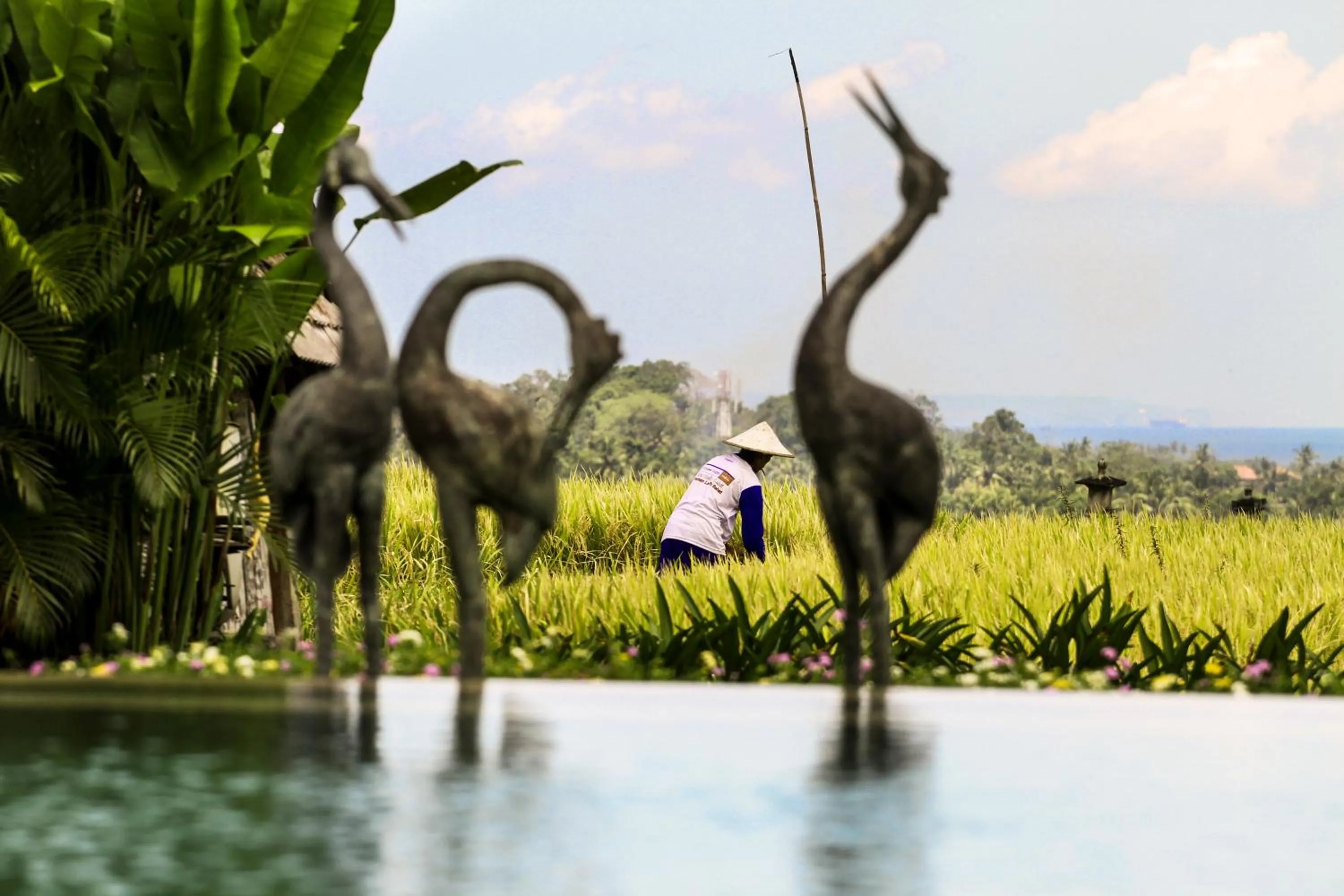 Garden view in Alami Boutique Villas & Resort