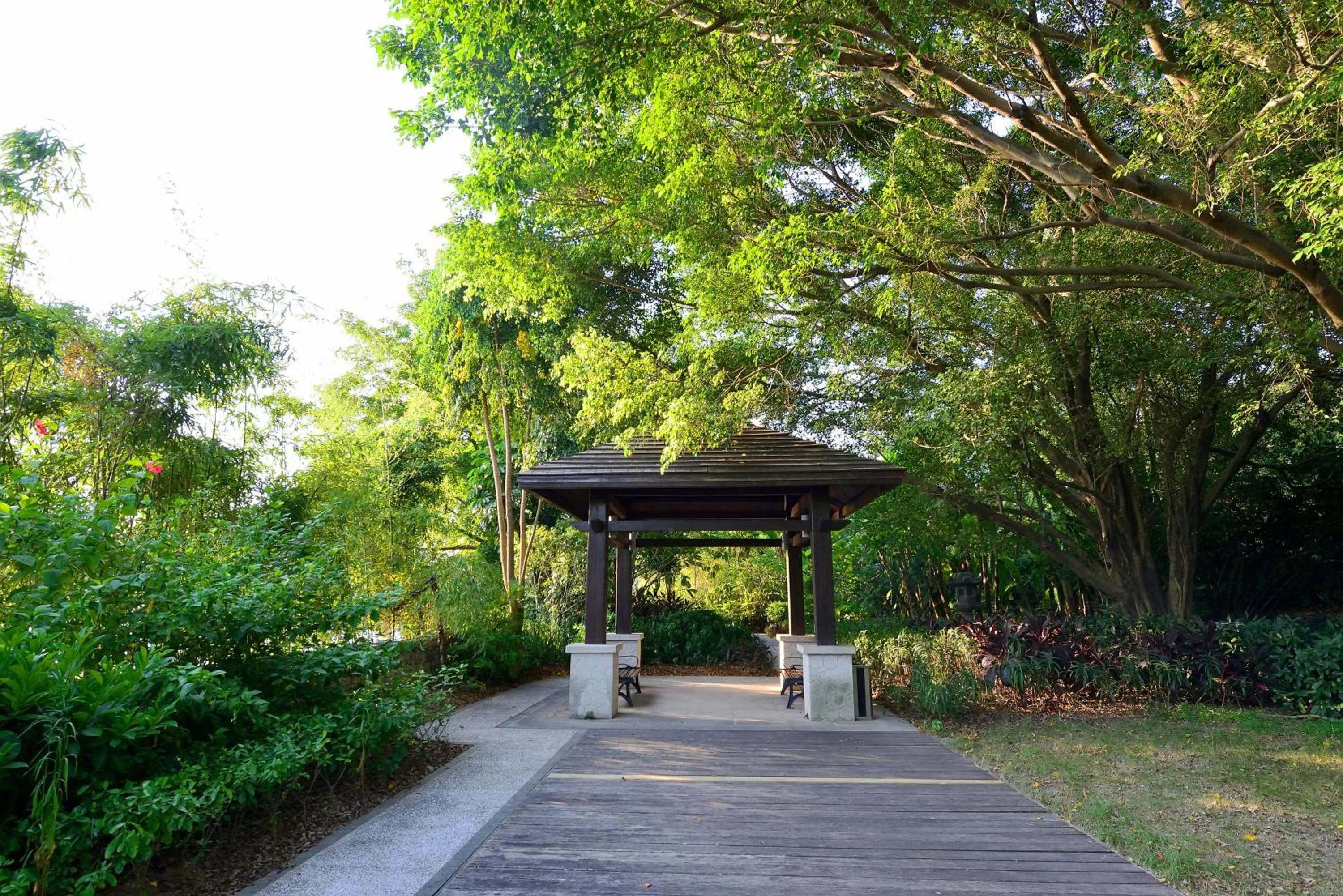 Garden in C&D Hotel Fuzhou