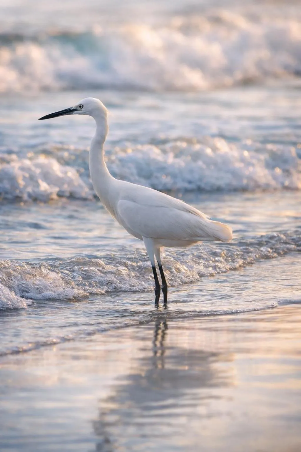 Natural landscape in Fisherman Way Beach Villa