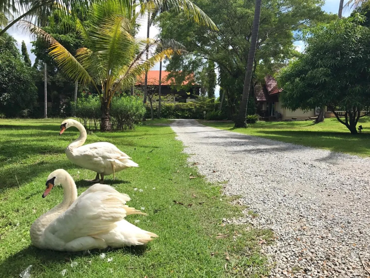 Pets in Fisherman Way Beach Villa
