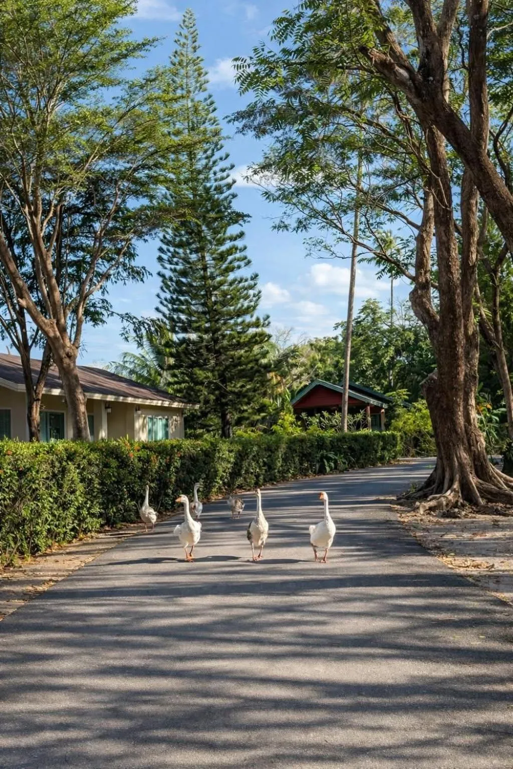 Natural landscape in Fisherman Way Beach Villa