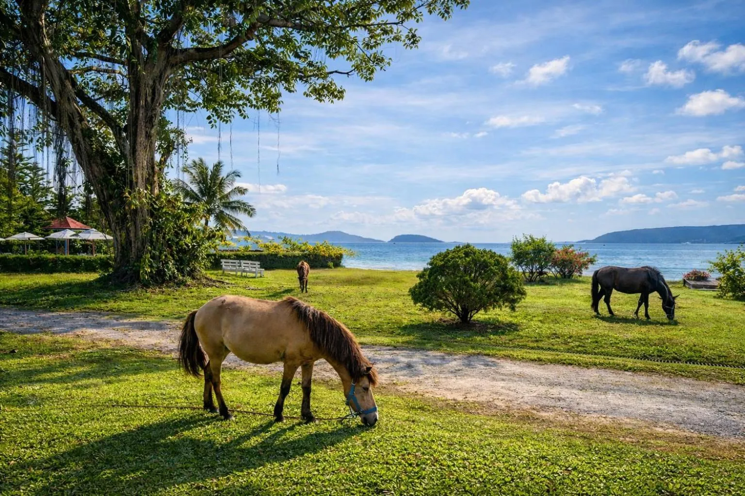 Natural landscape in Fisherman Way Beach Villa