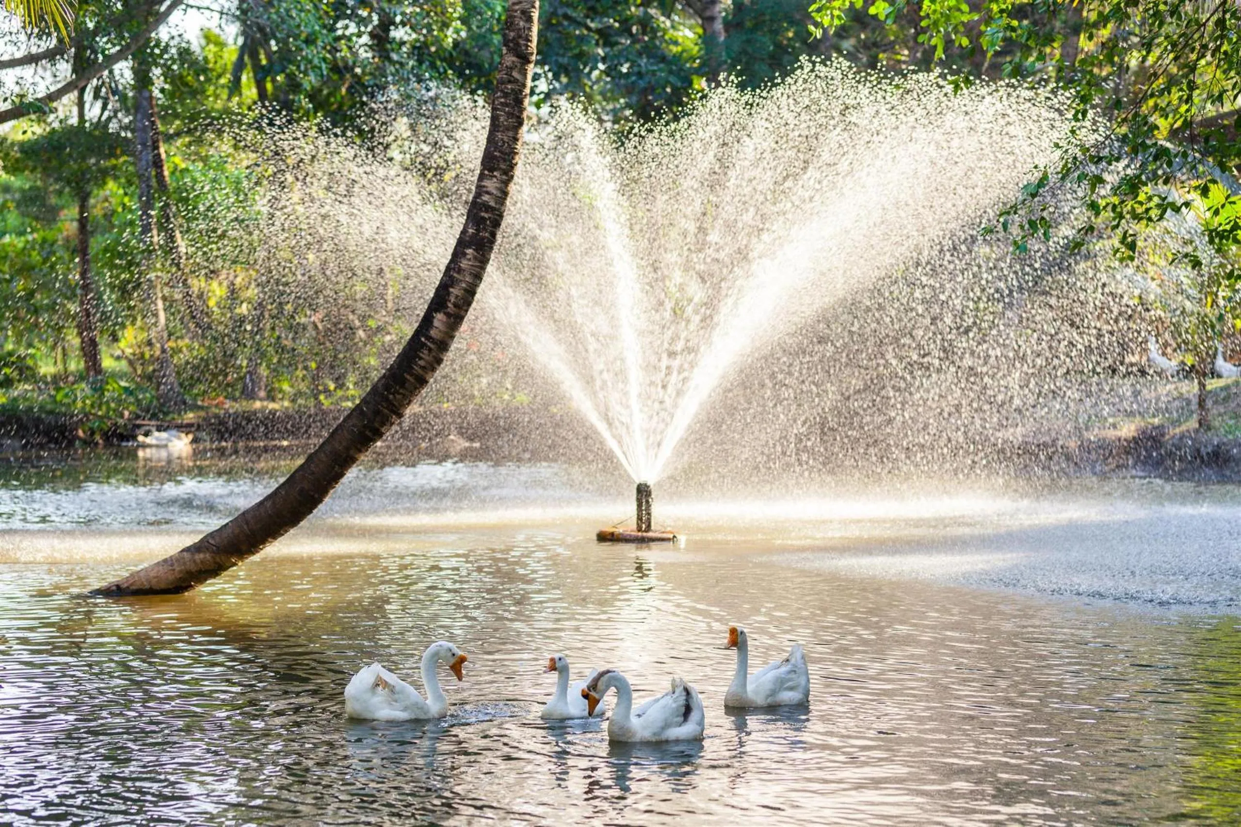 Pets in Fisherman Way Beach Villa