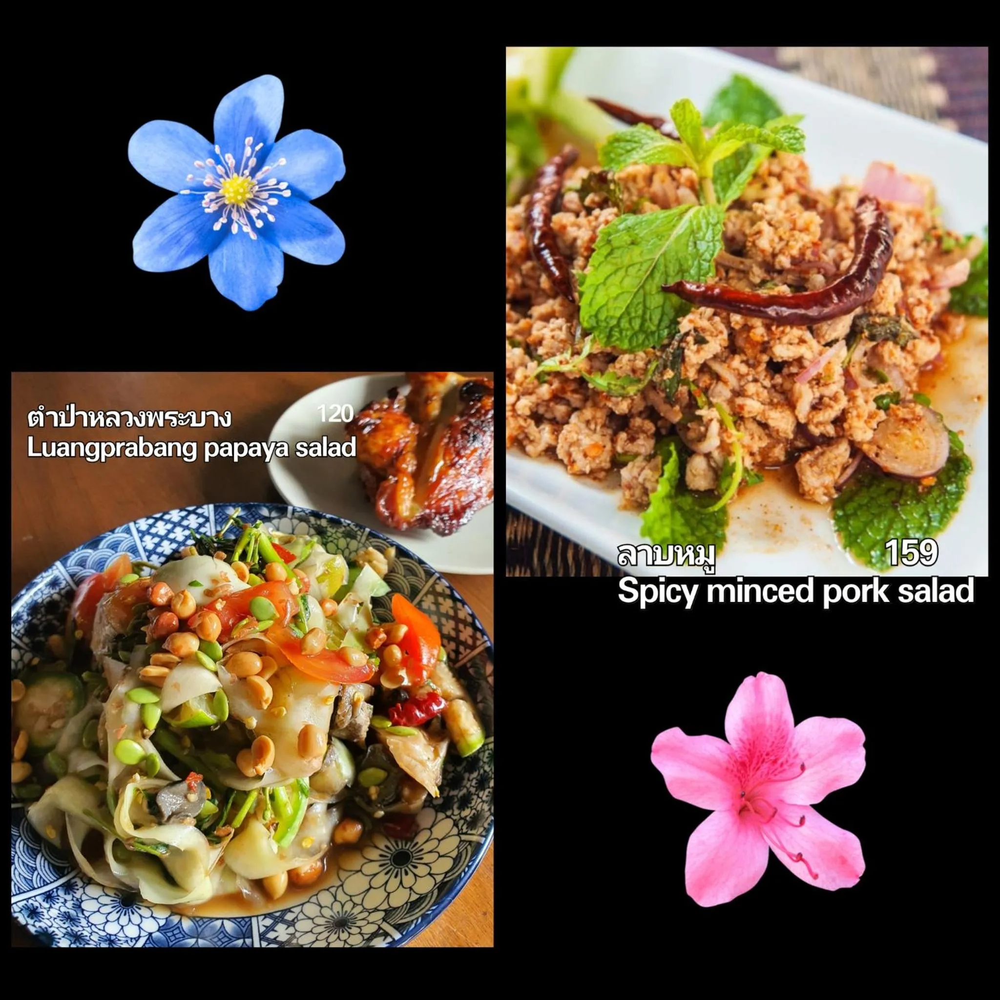 Restaurant/places to eat in Bangkok Bed and Bike