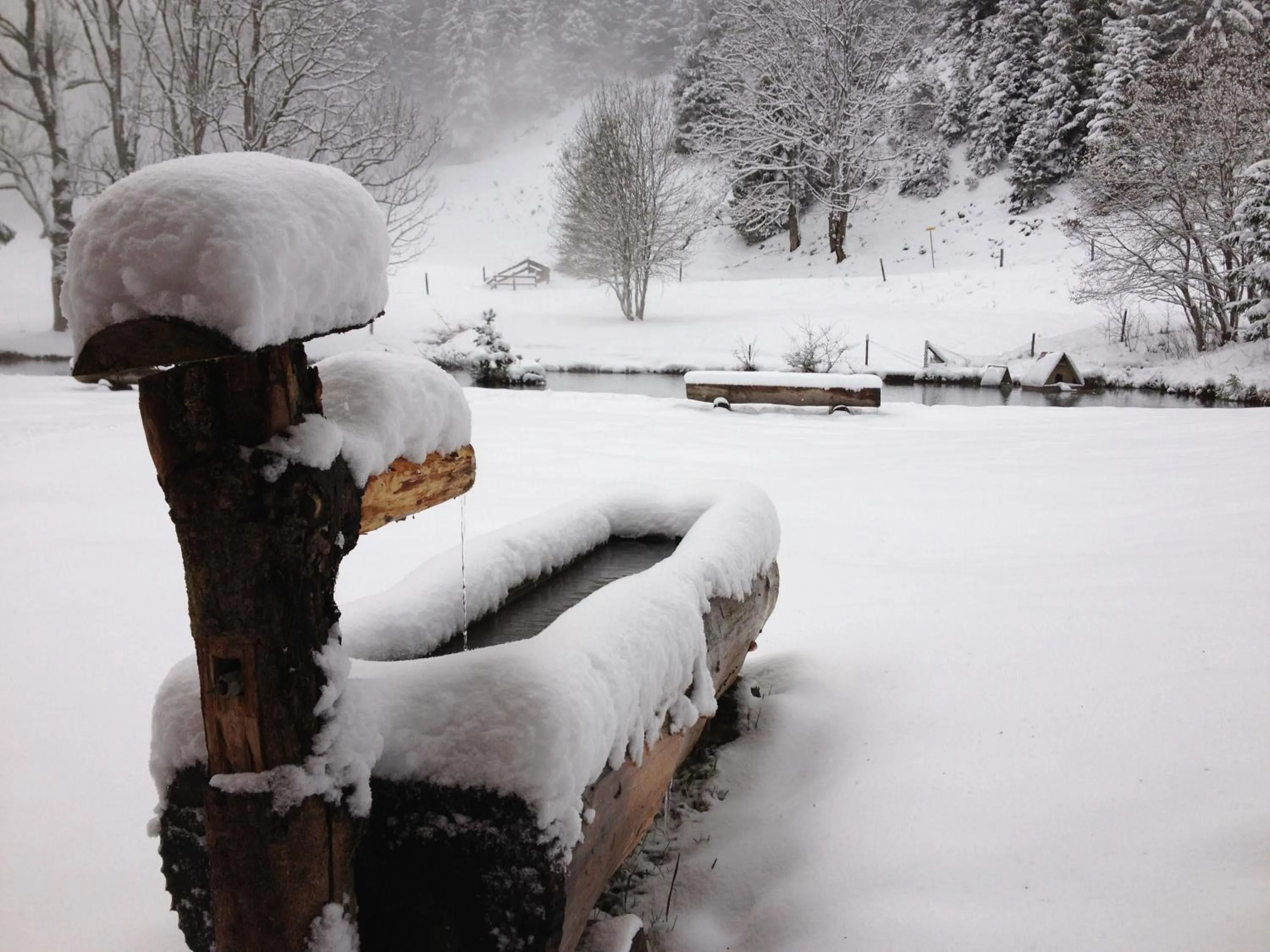 Natural landscape in Aparthotel Edy Bruggmann AG