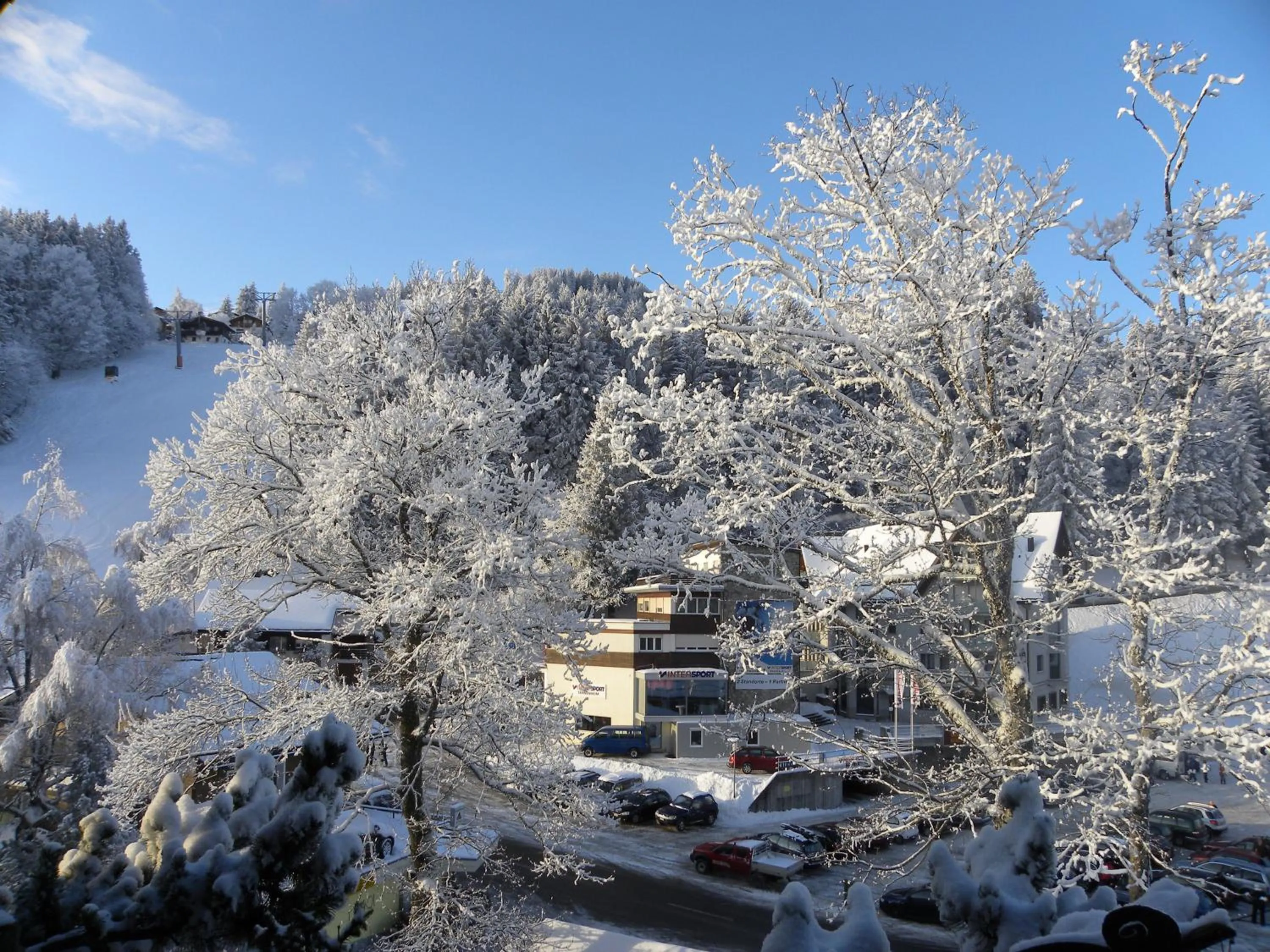 Winter in Aparthotel Edy Bruggmann AG