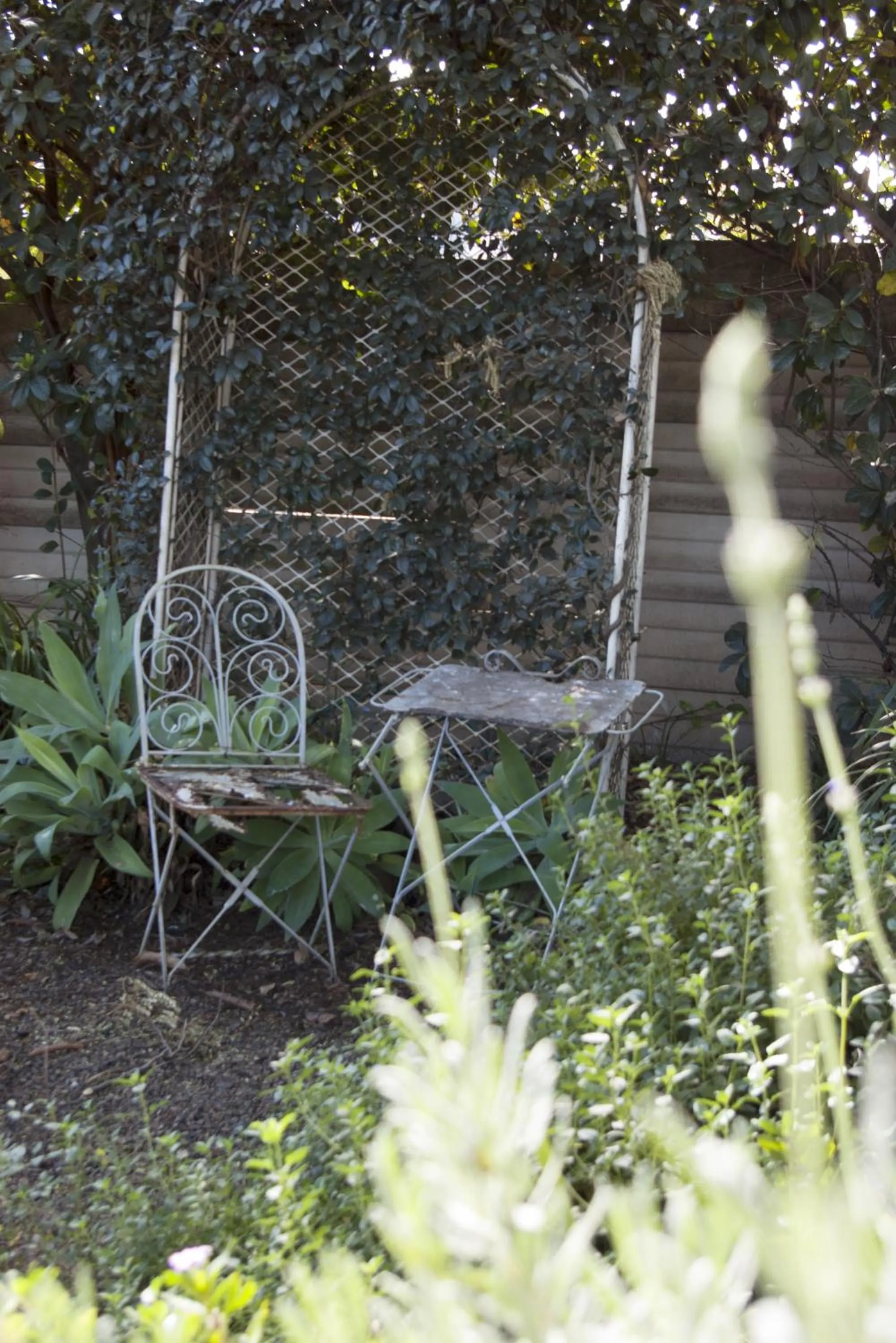 Garden in Tancredi B&B