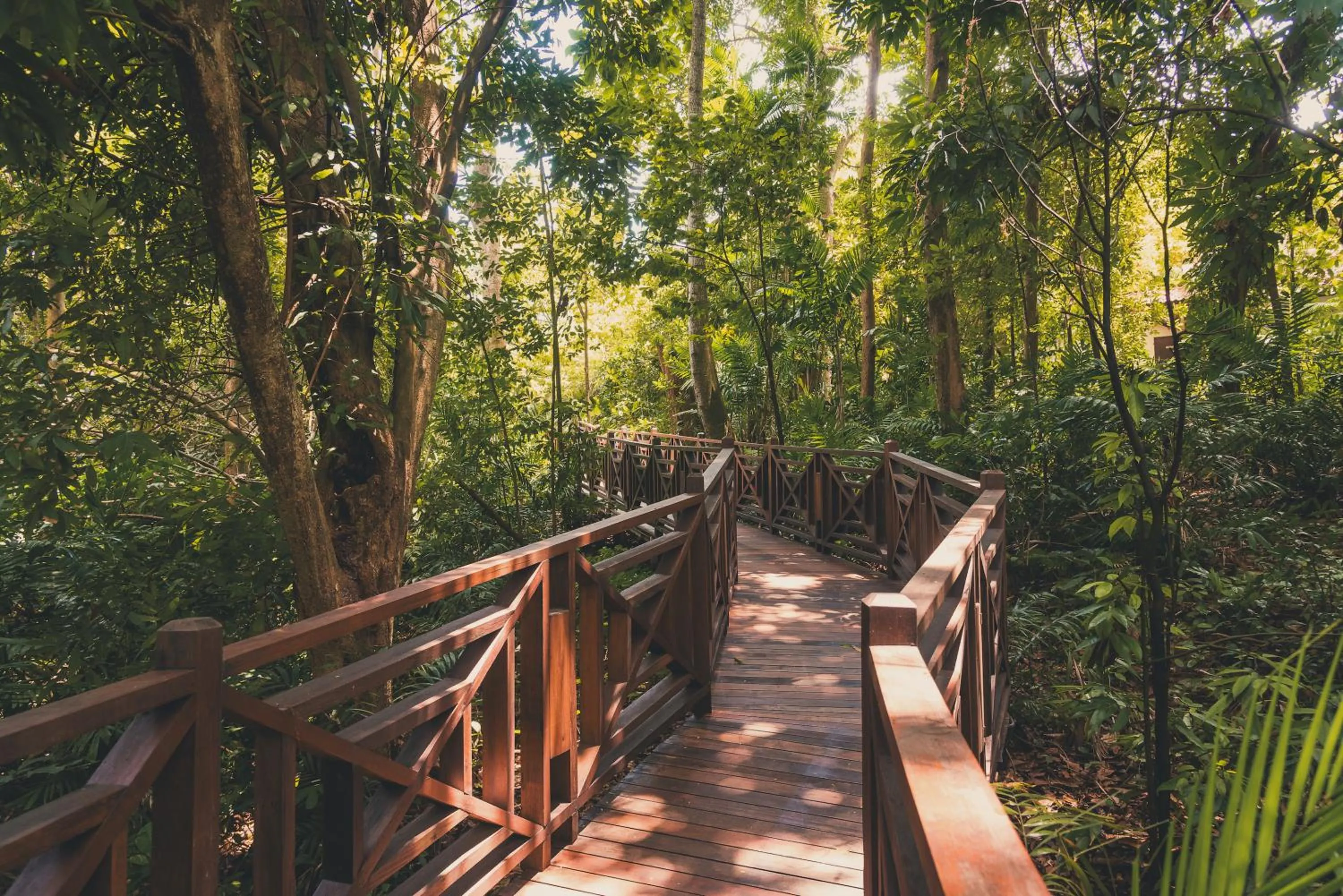 Natural landscape in Labrador Villa