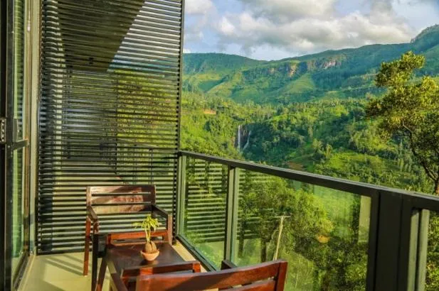 Day in Oak Ray Tea Bush