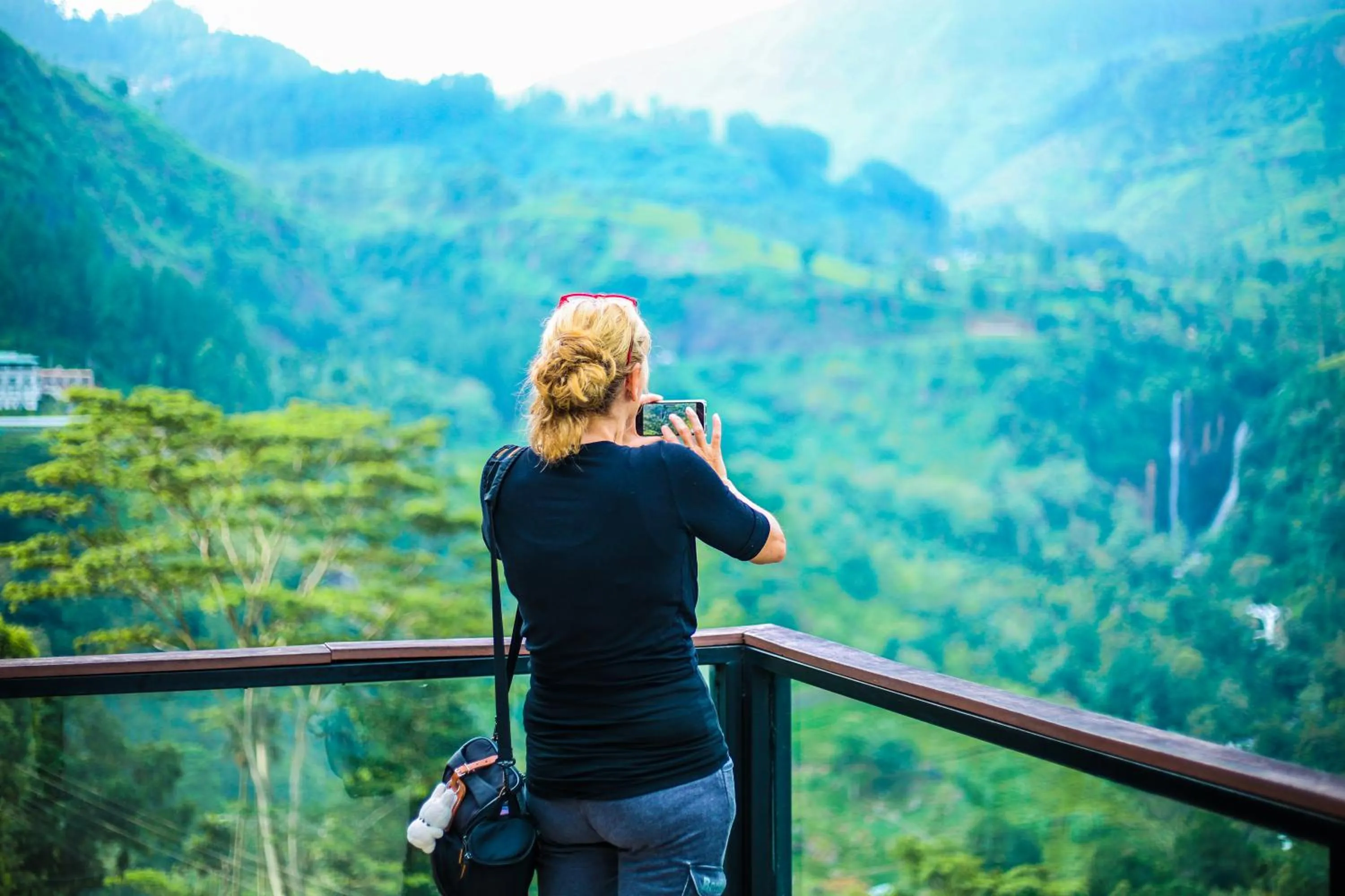 Mountain view in Oak Ray Tea Bush