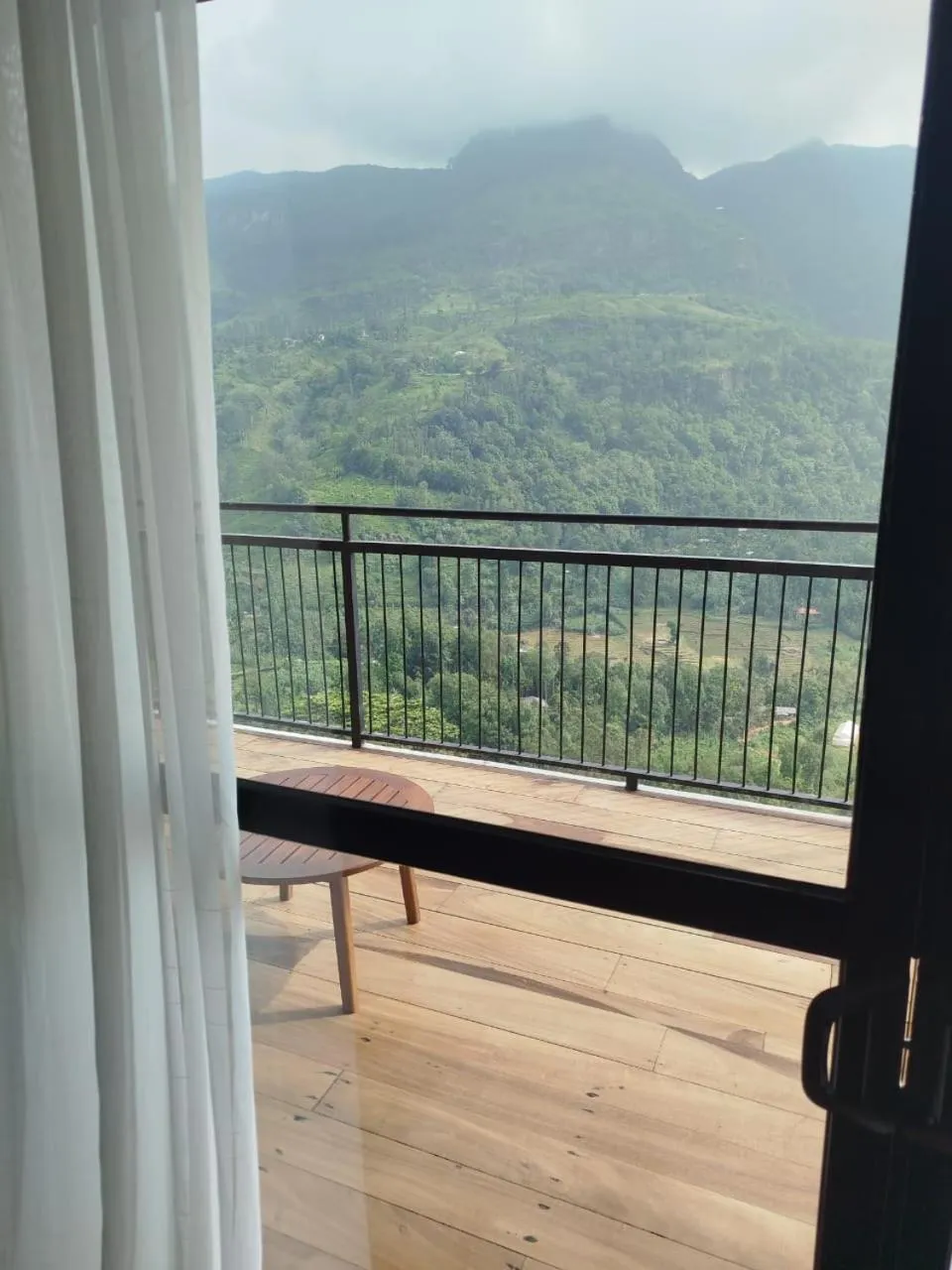 View (from property/room) in Oak Ray Tea Bush