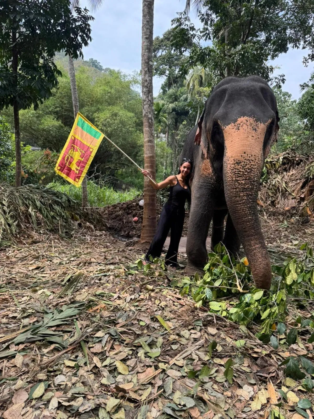 Nearby landmark in RedHill Kandy