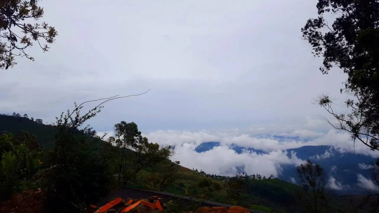 Bel View Guest House