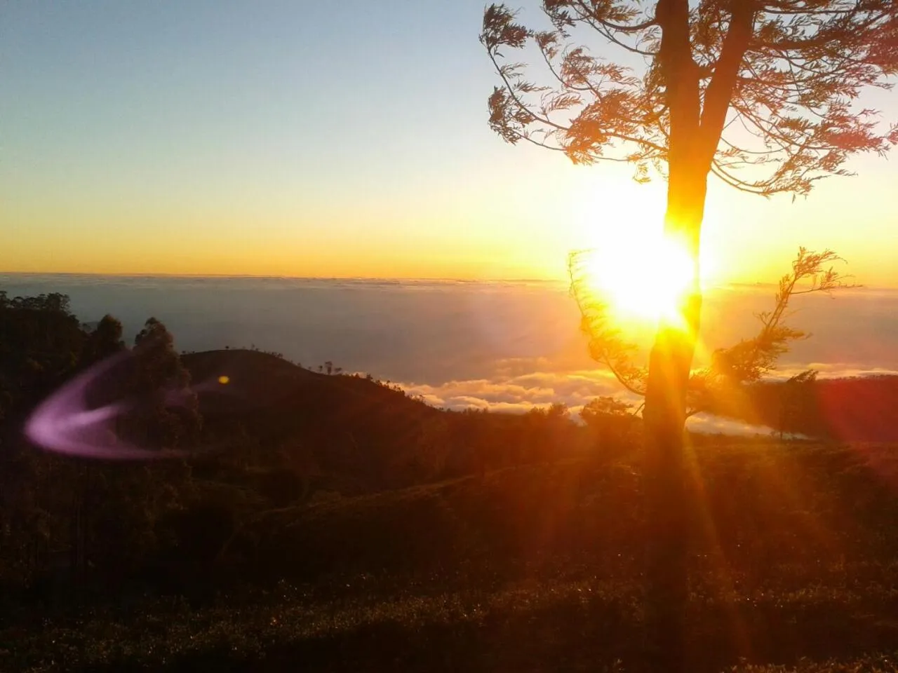 Bel View Guest House