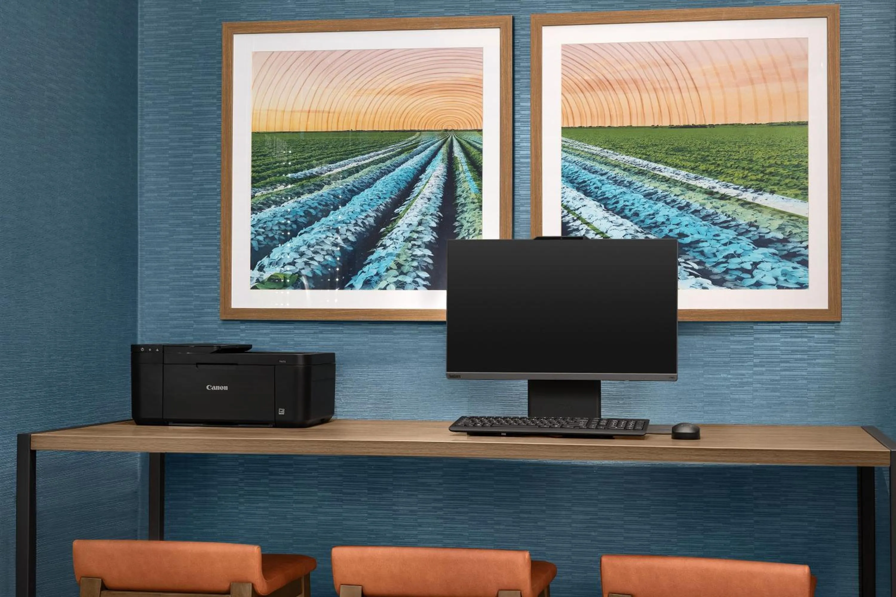 Business facilities in Hampton Inn By Hilton Dexter