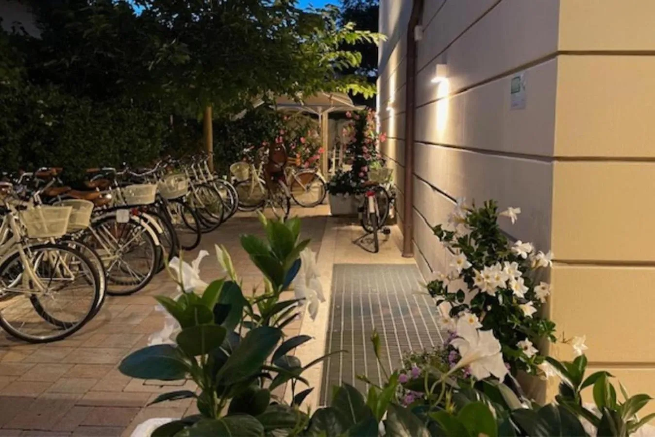 Cycling in Hotel Villa Barsanti
