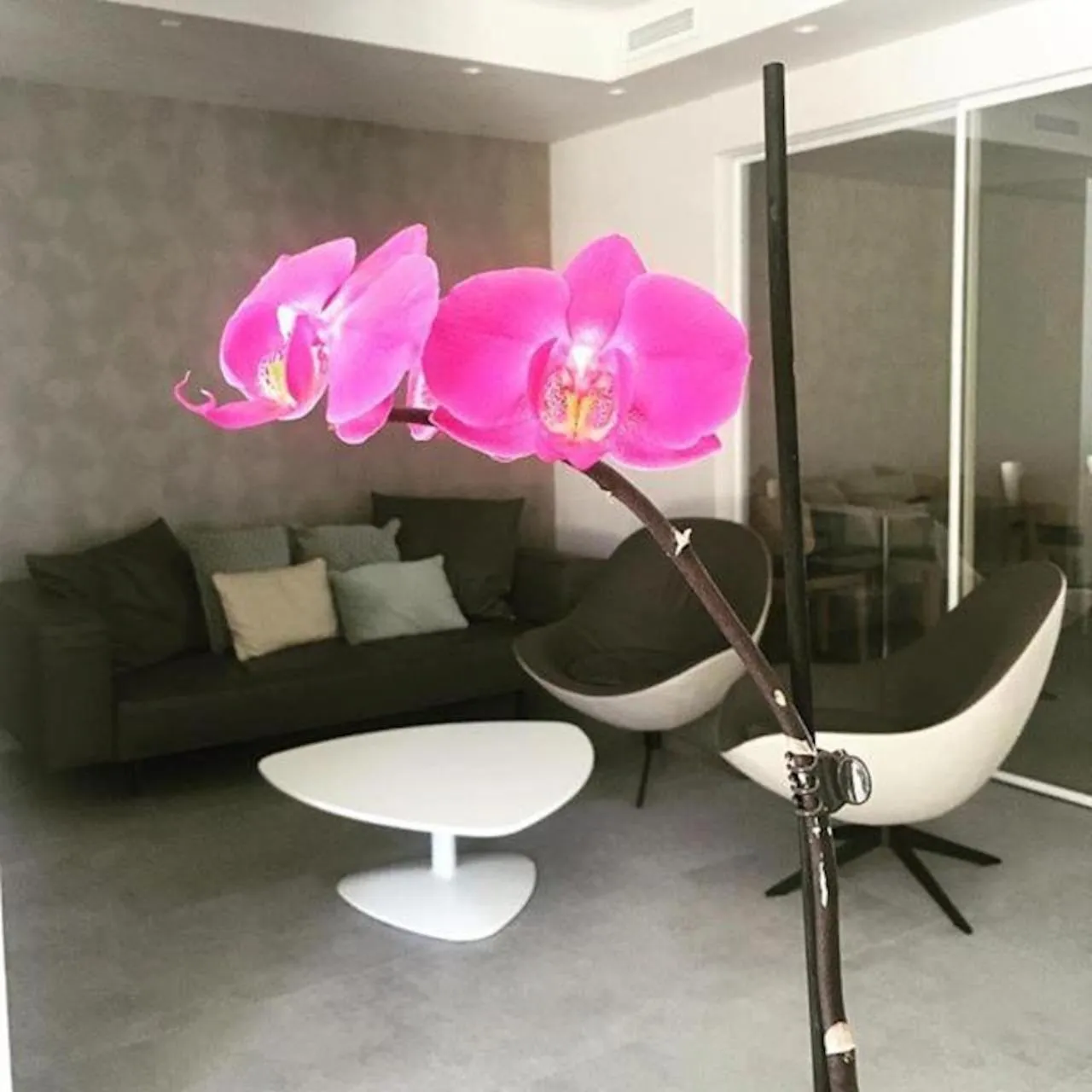 Lobby or reception in Hotel Villa Barsanti