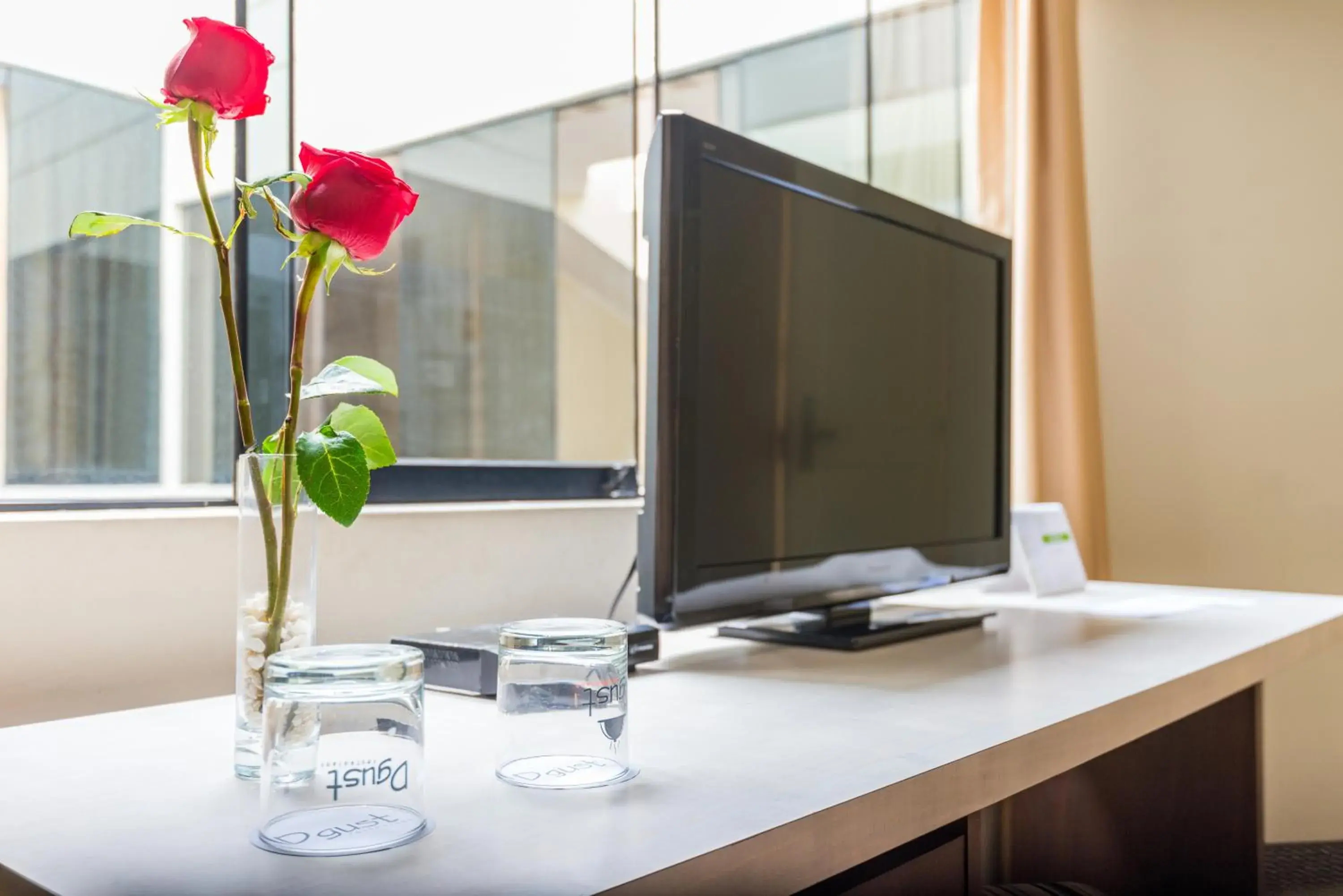 Twin Room in Palmetto Hotel Business La Perla Twin Room in Palmetto Hotel Business La Perla