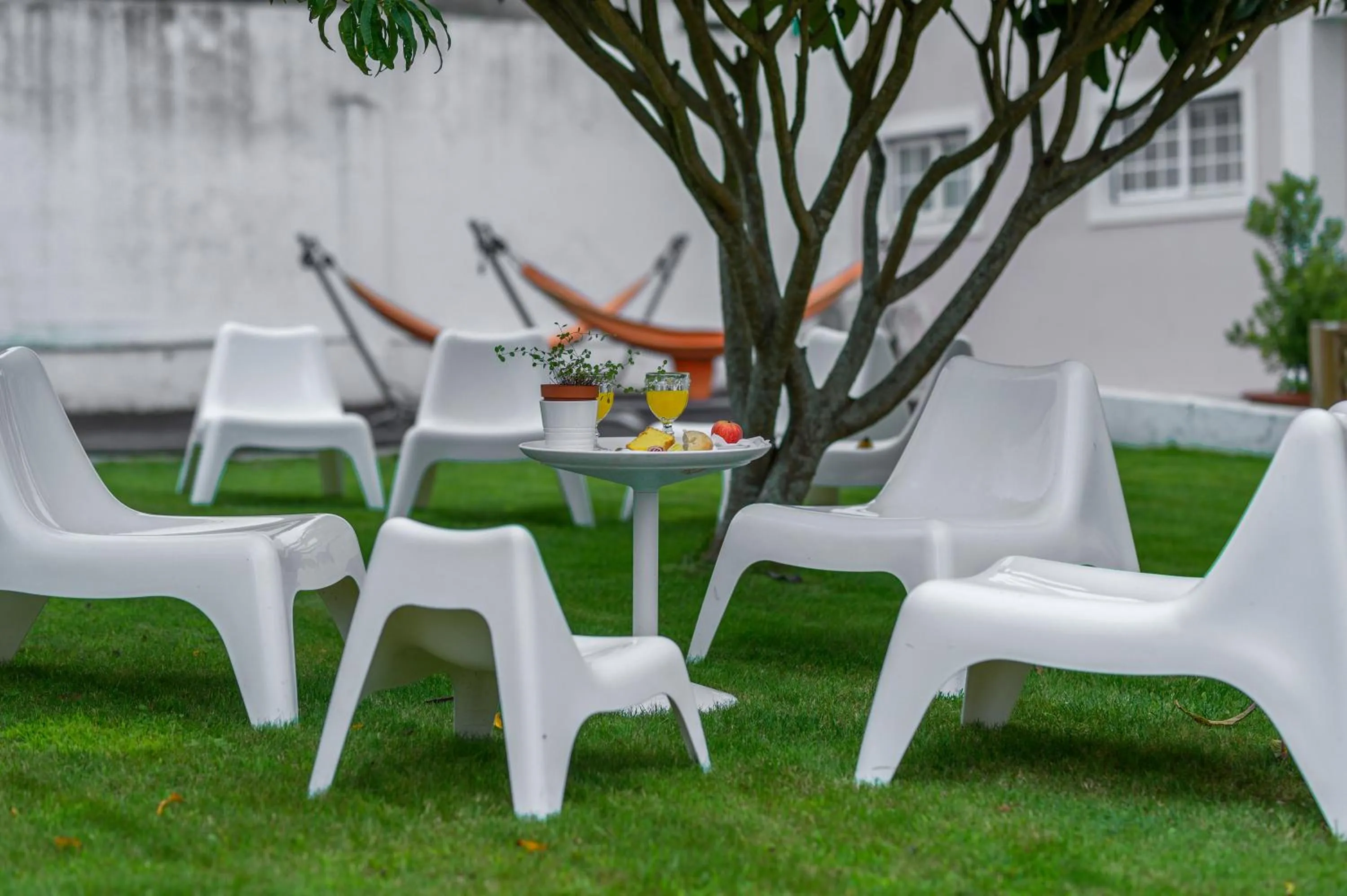 Garden view in Casa das Hortênsias - Charming Guest House