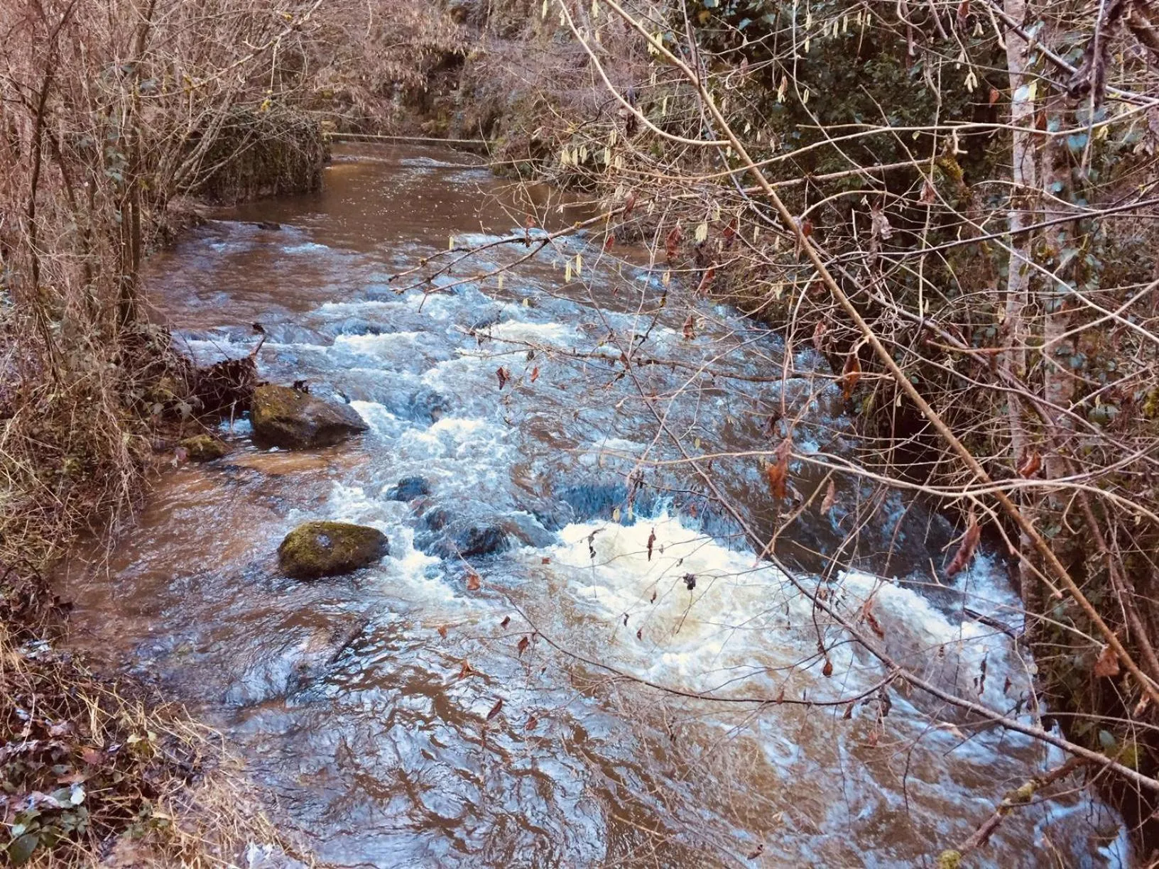 Natural landscape in Les Maitres Sonneurs