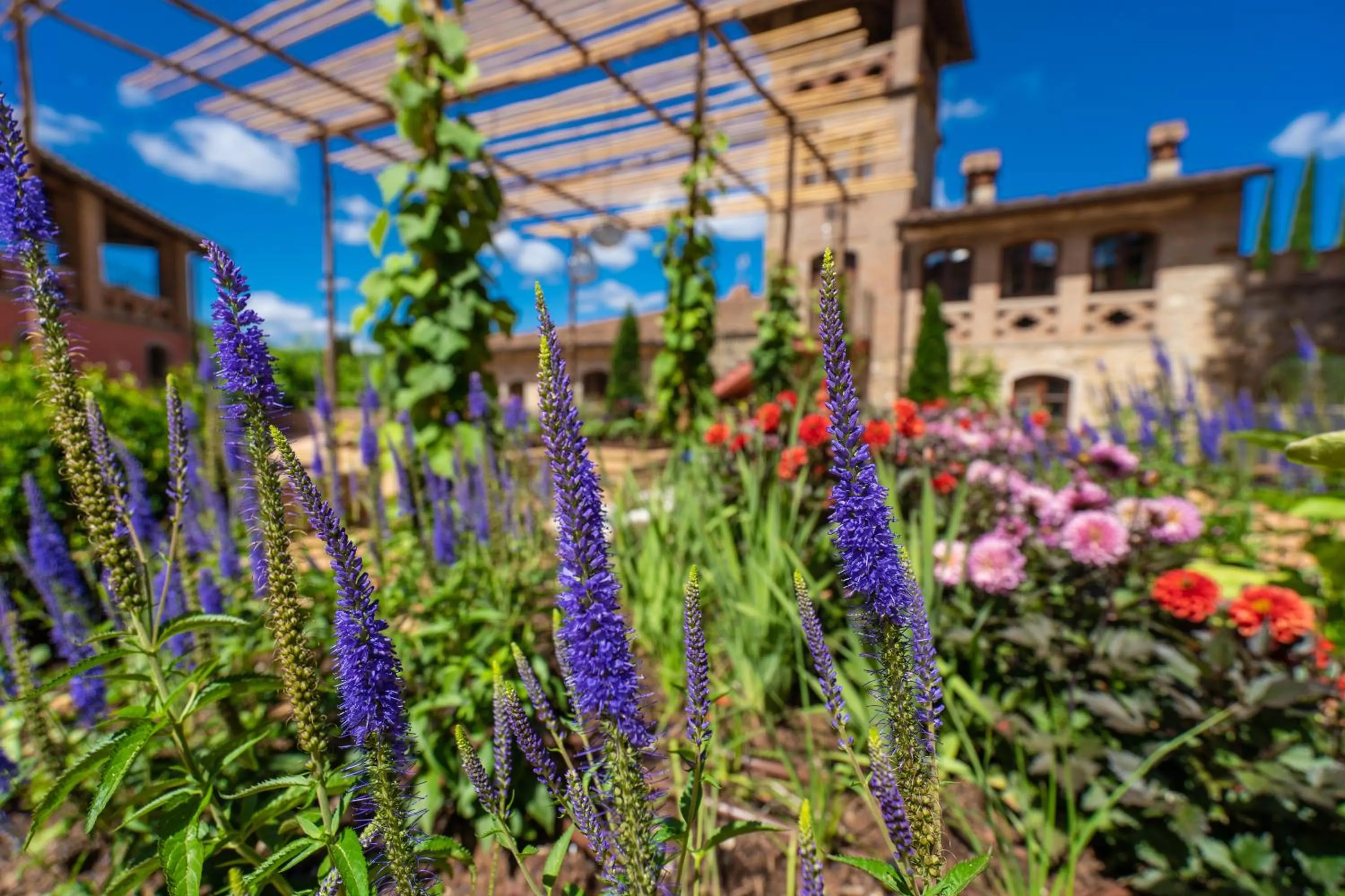Garden in Villa Campomaggio Resort & SPA