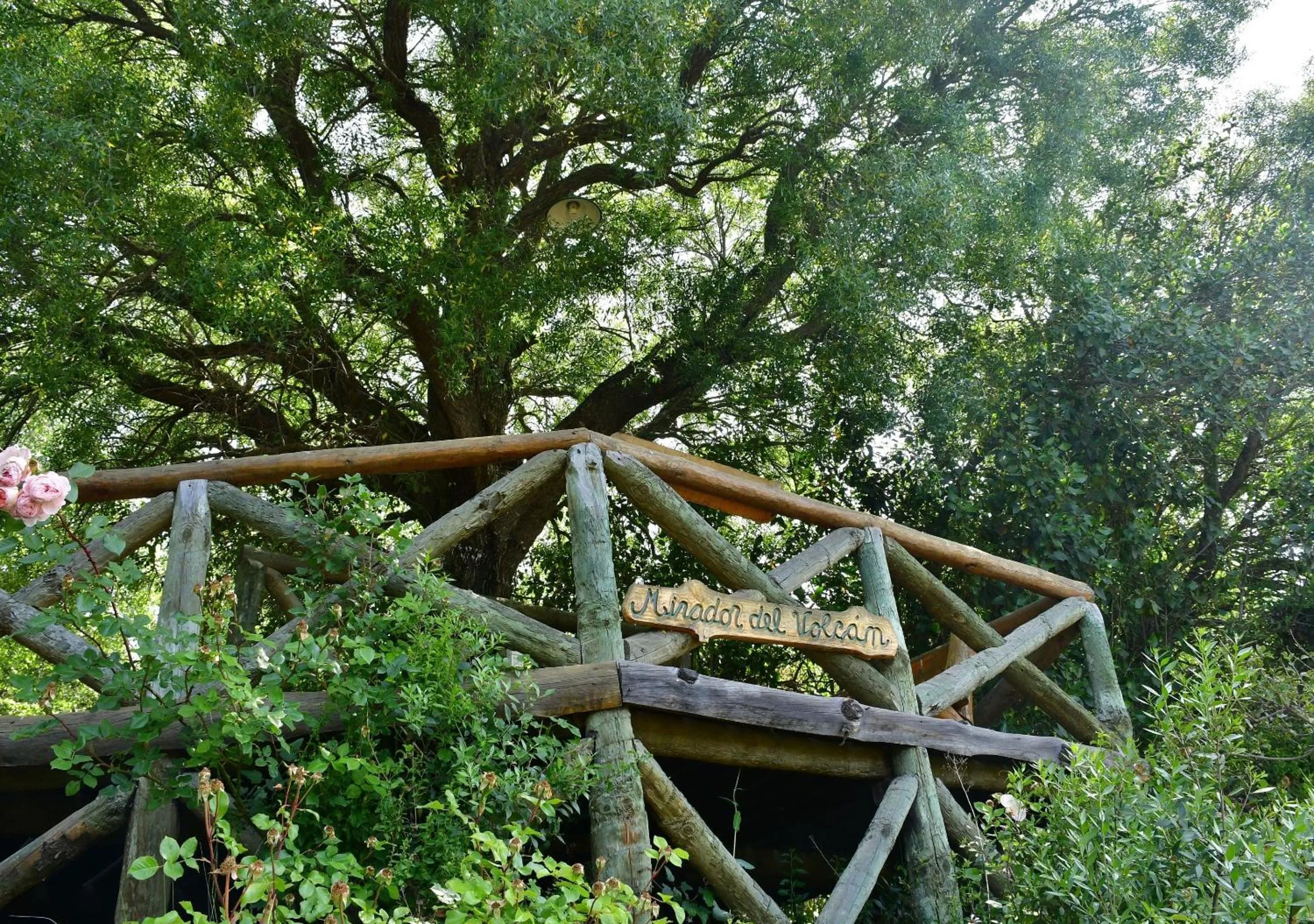 Balcony/Terrace in Aparts La Balconada by DOT Suites