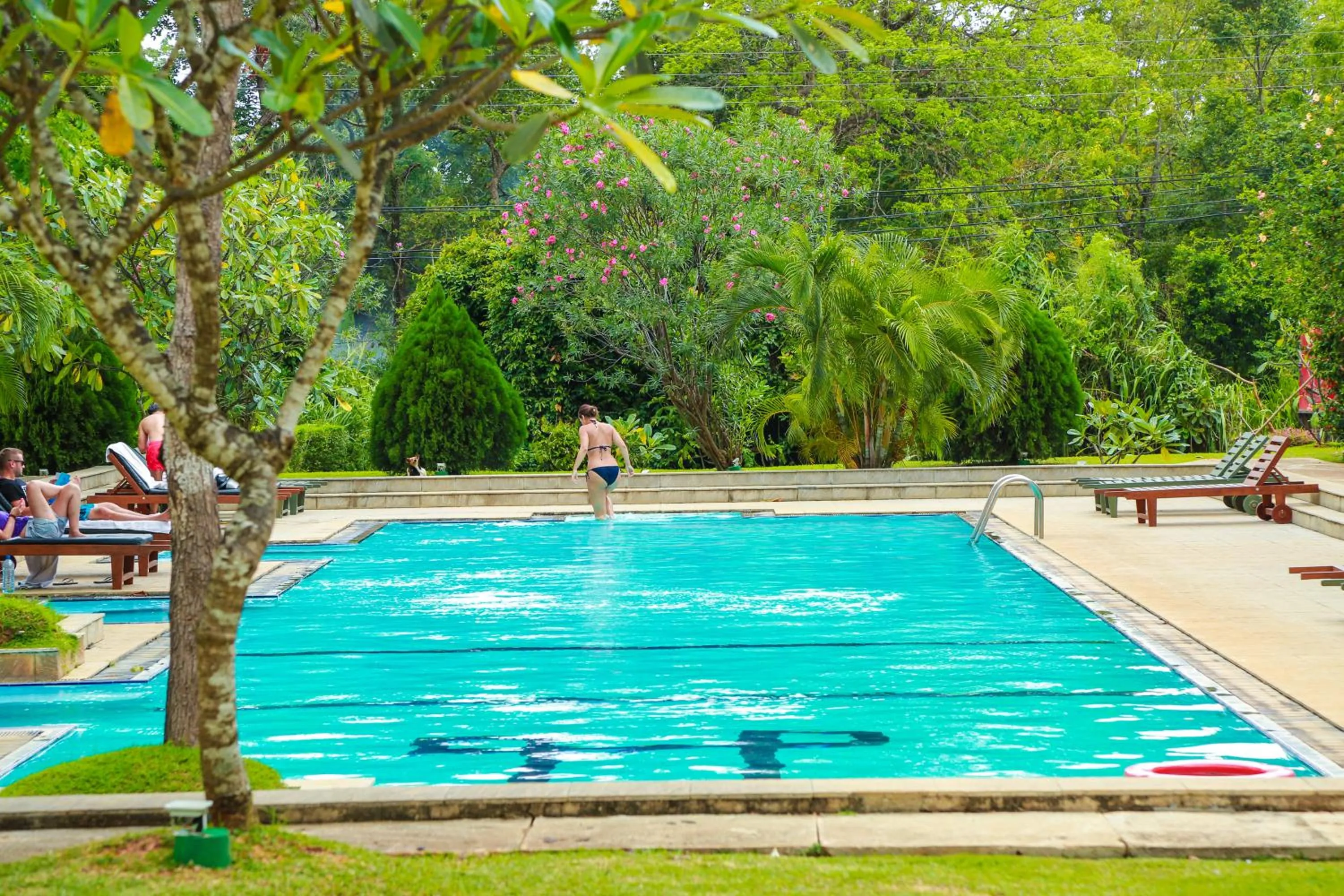 Swimming pool in Fresco Water Villa